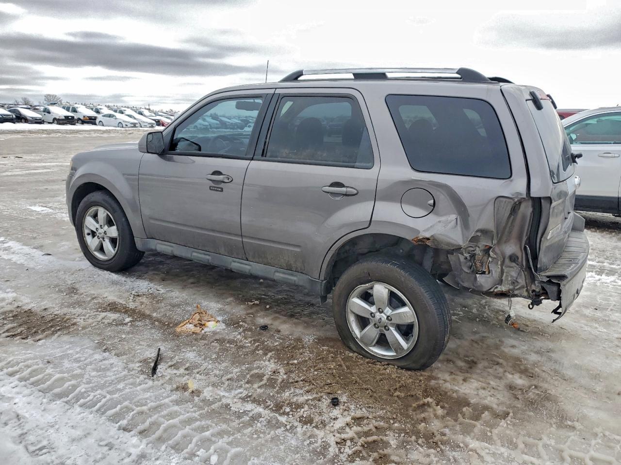 2010 FORD ESCAPE LIMITED photo 2