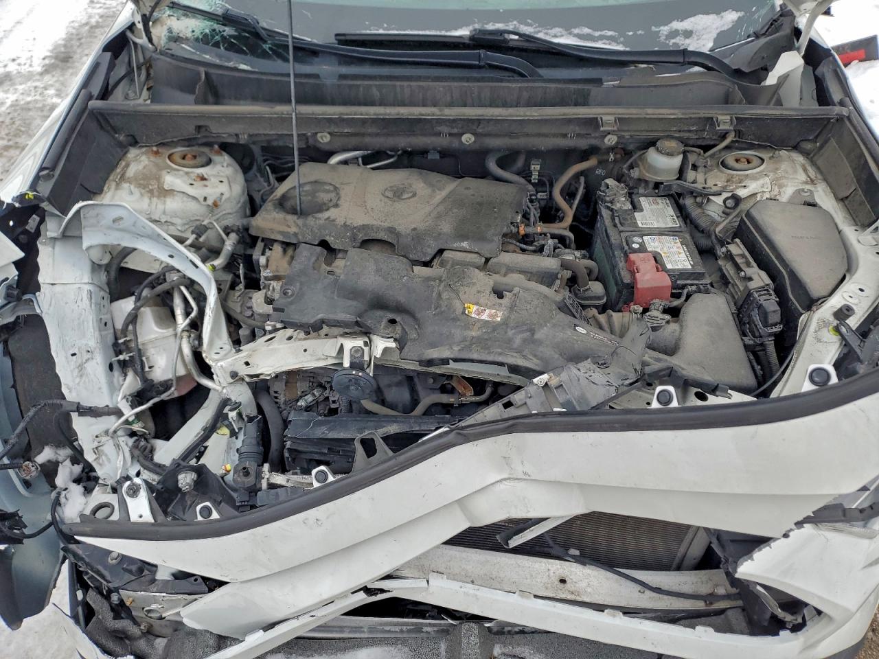 2019 TOYOTA RAV4 LE photo 12
