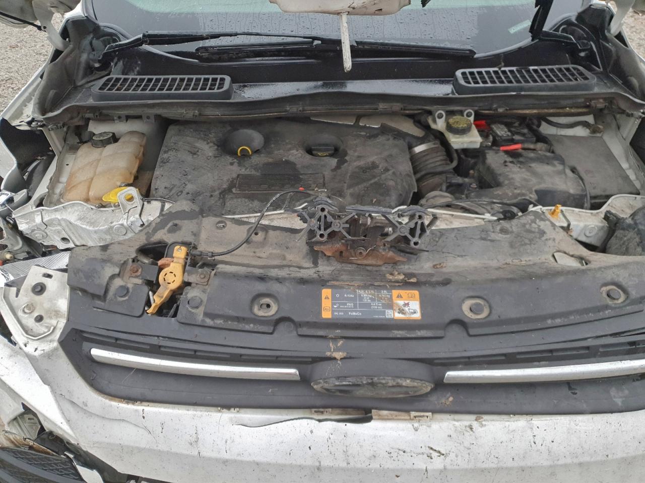 2013 FORD ESCAPE SE photo 12