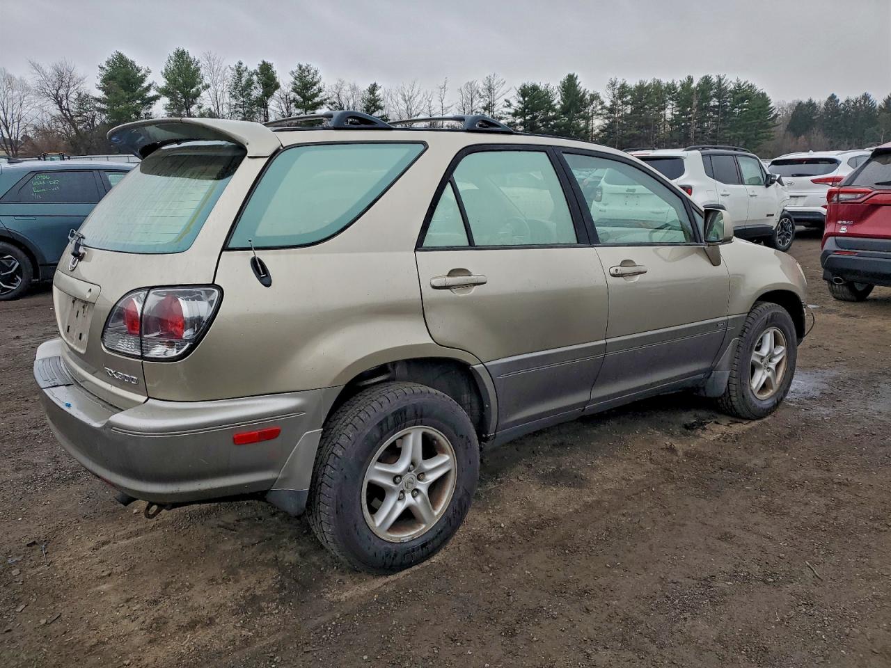 2002 LEXUS RX 300 photo 3