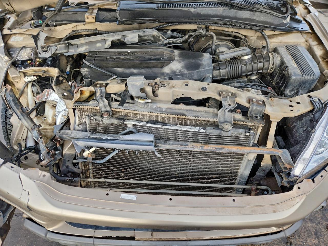 2004 HONDA PILOT EXL photo 12