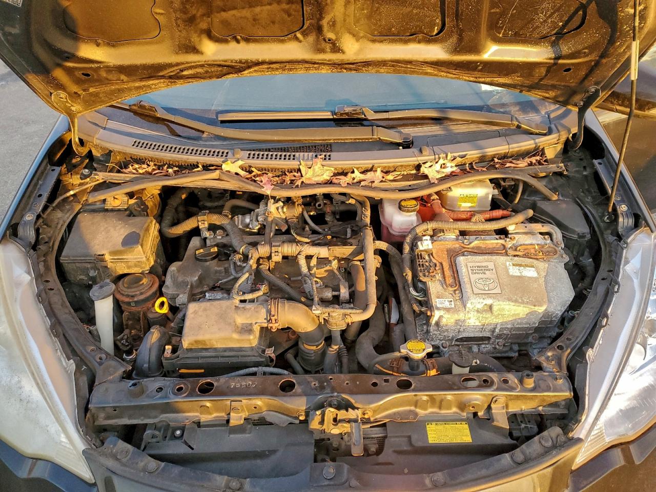 2013 TOYOTA PRIUS C photo 11
