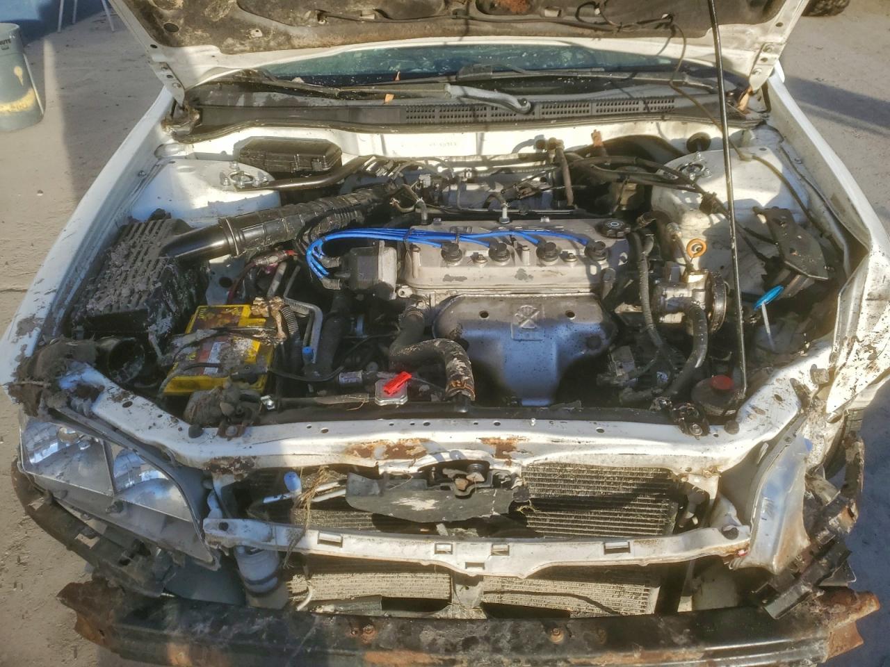 1998 HONDA ACCORD LX photo 11