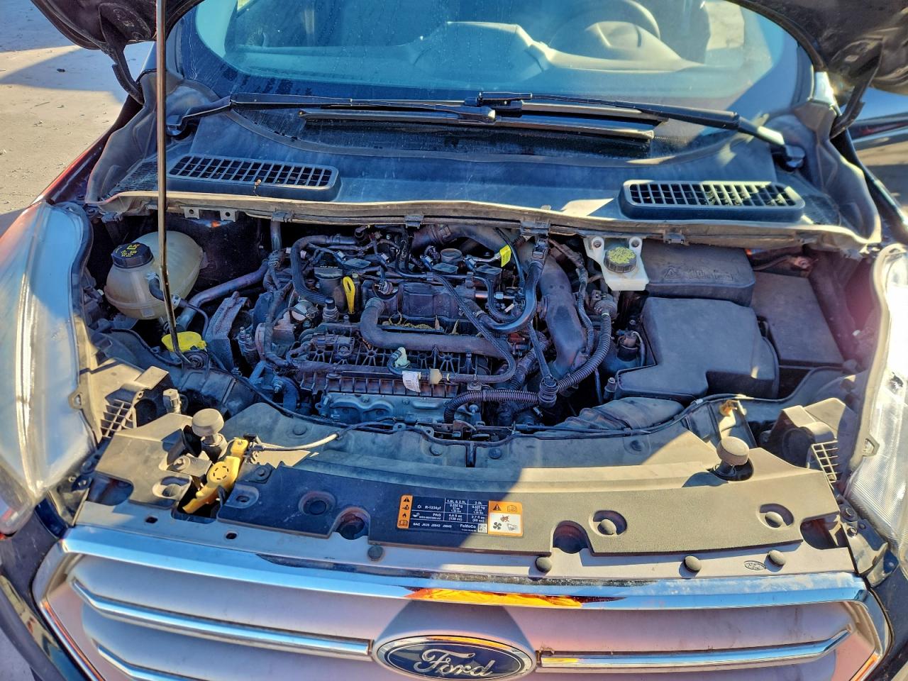 2019 FORD ESCAPE SE photo 12