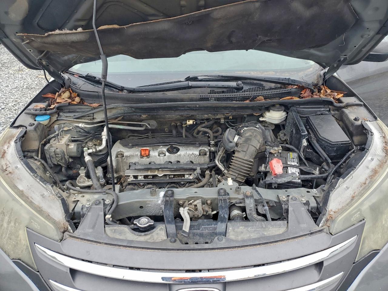 2014 HONDA CR-V LX photo 12