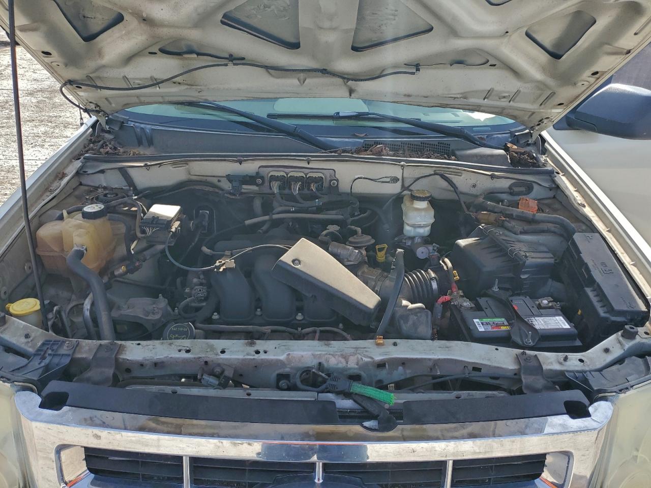 2008 FORD ESCAPE XLT photo 12