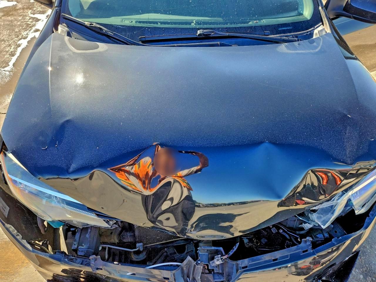 2018 TOYOTA COROLLA L photo 11