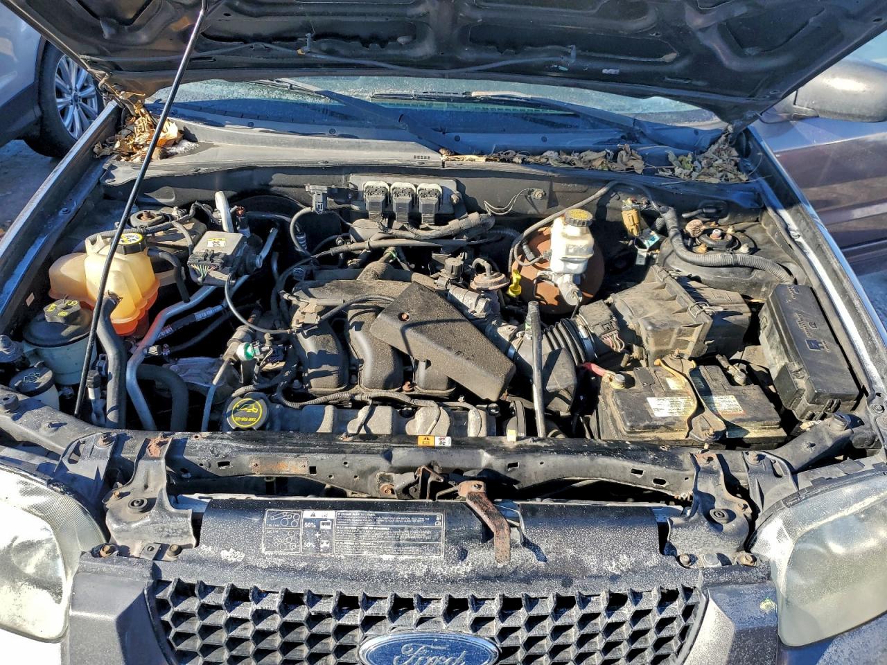 2005 FORD ESCAPE LIMITED photo 11