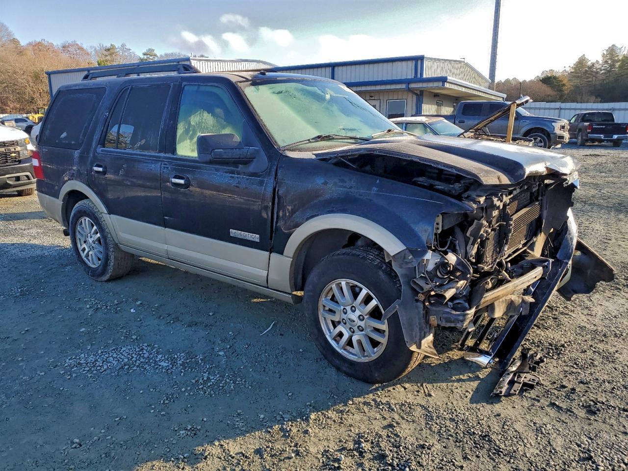 2008 FORD EXPEDITION EDDIE BAUER photo 10