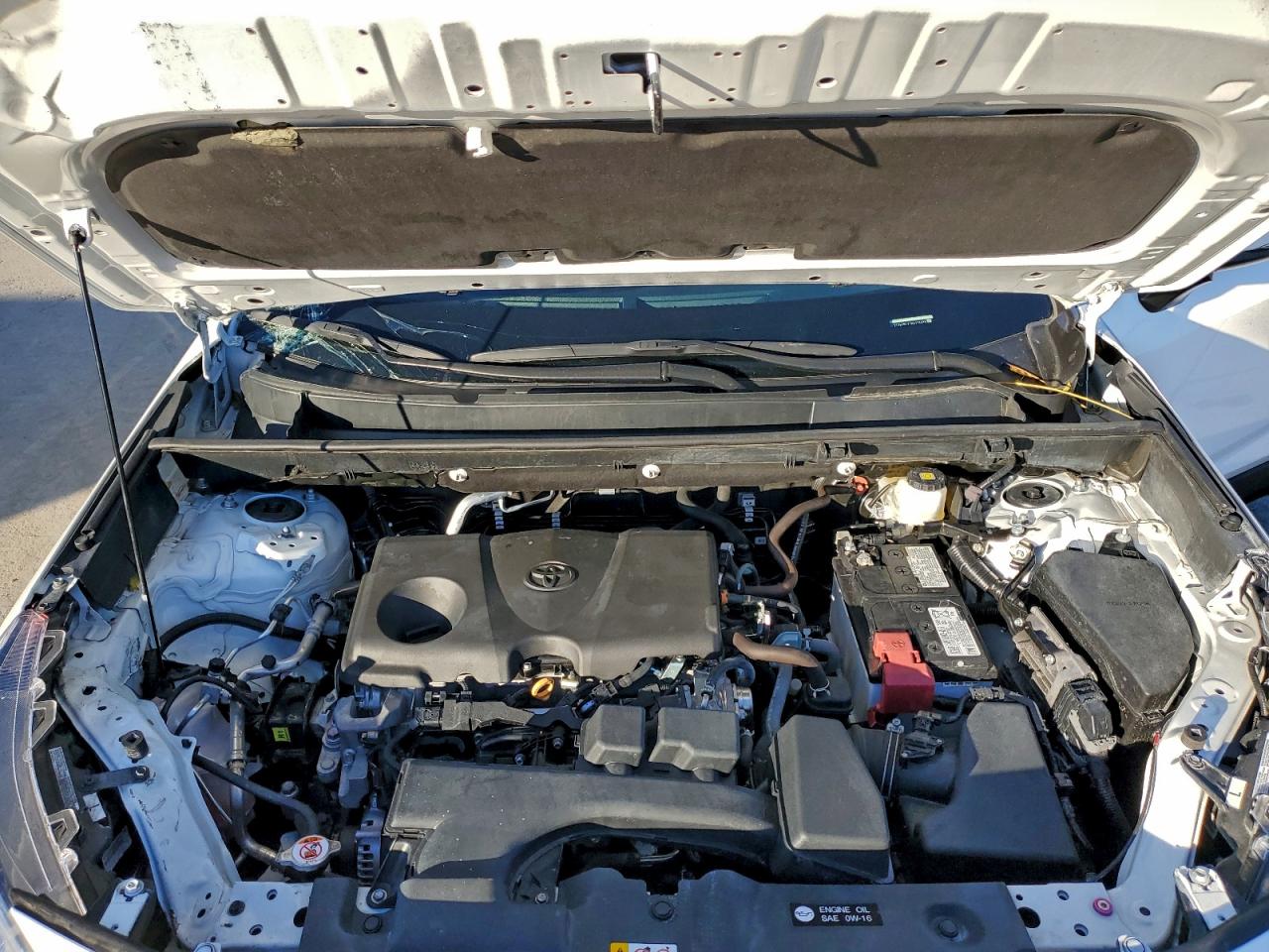 2024 TOYOTA RAV4 XLE photo 23