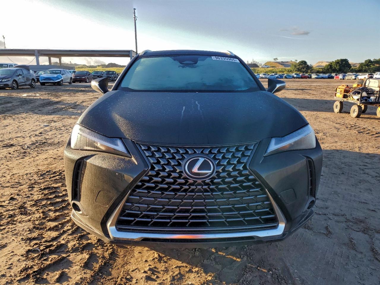 2025 LEXUS UX 300H BASE photo 9