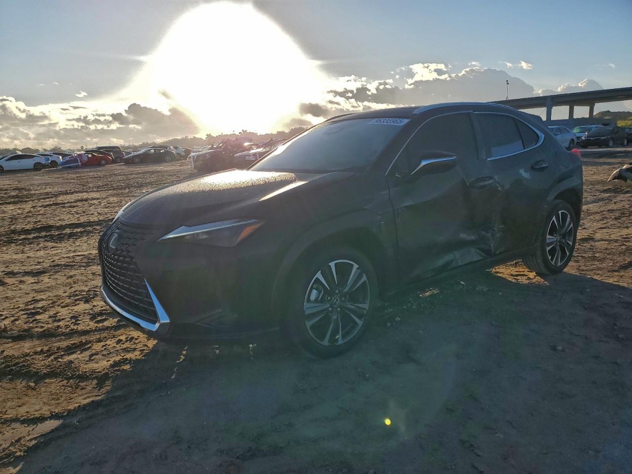 2025 LEXUS UX