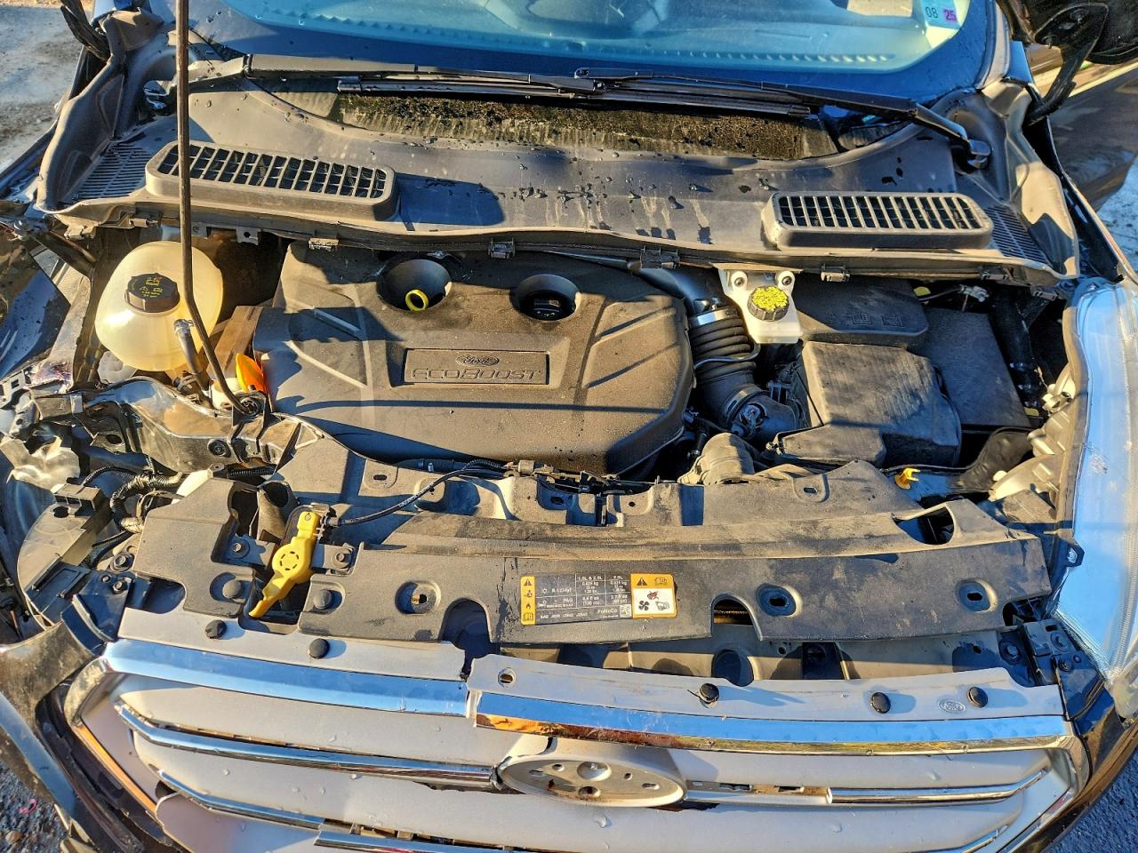 2019 FORD ESCAPE TITANIUM photo 12