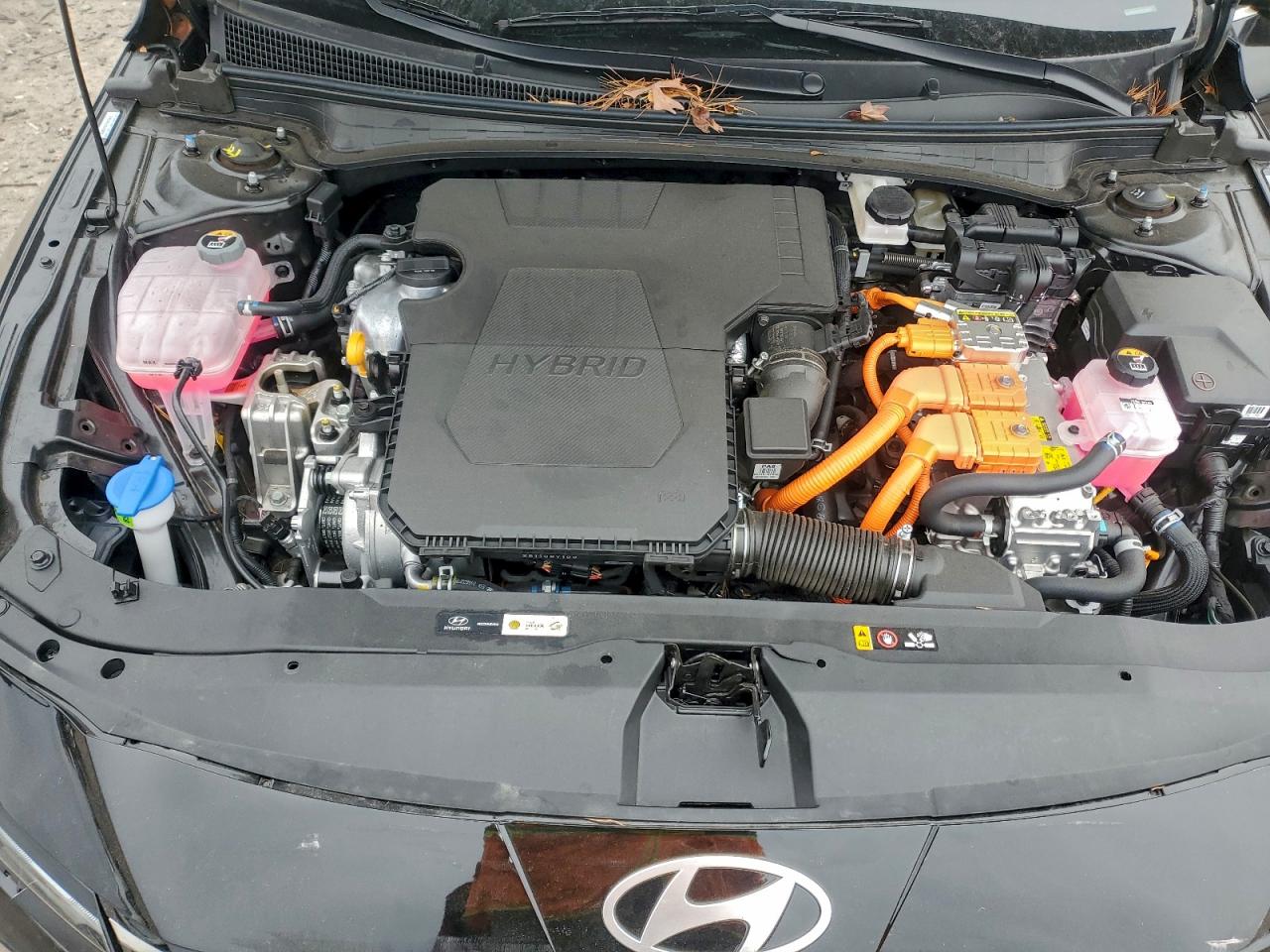 2025 HYUNDAI ELANTRA LIMITED photo 31