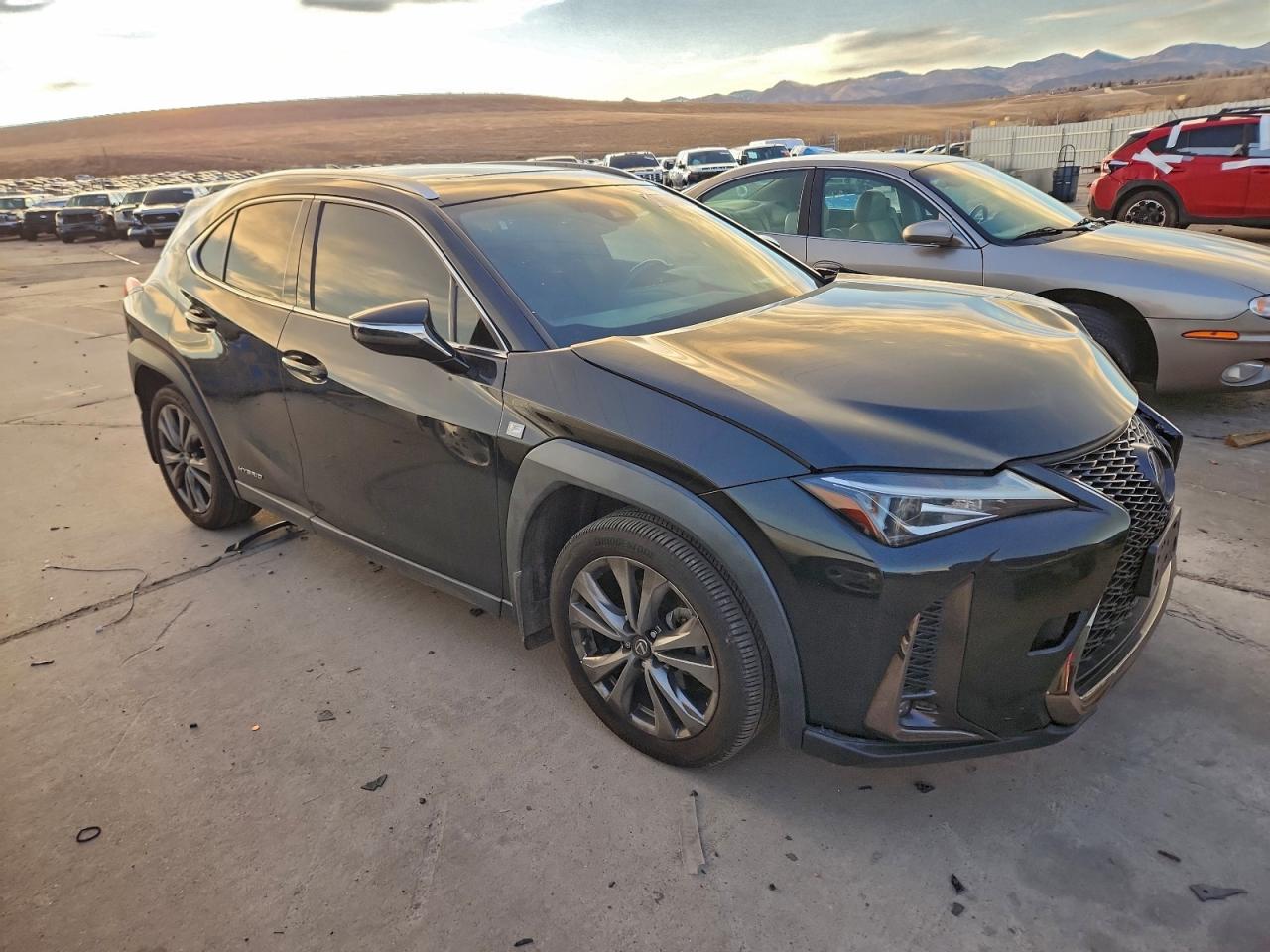 2019 LEXUS UX 250H photo 7