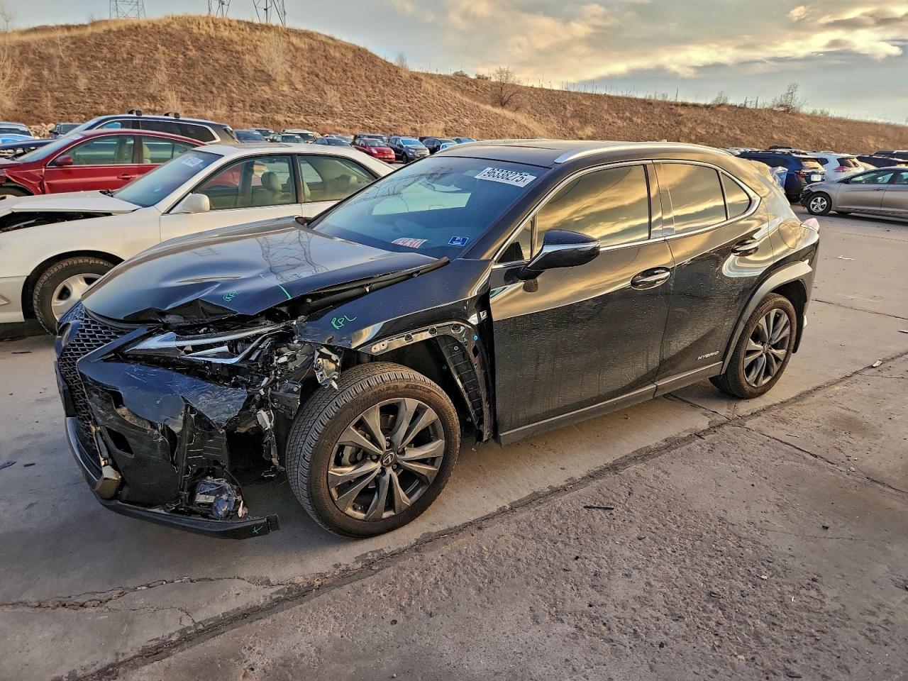 2019 LEXUS UX
