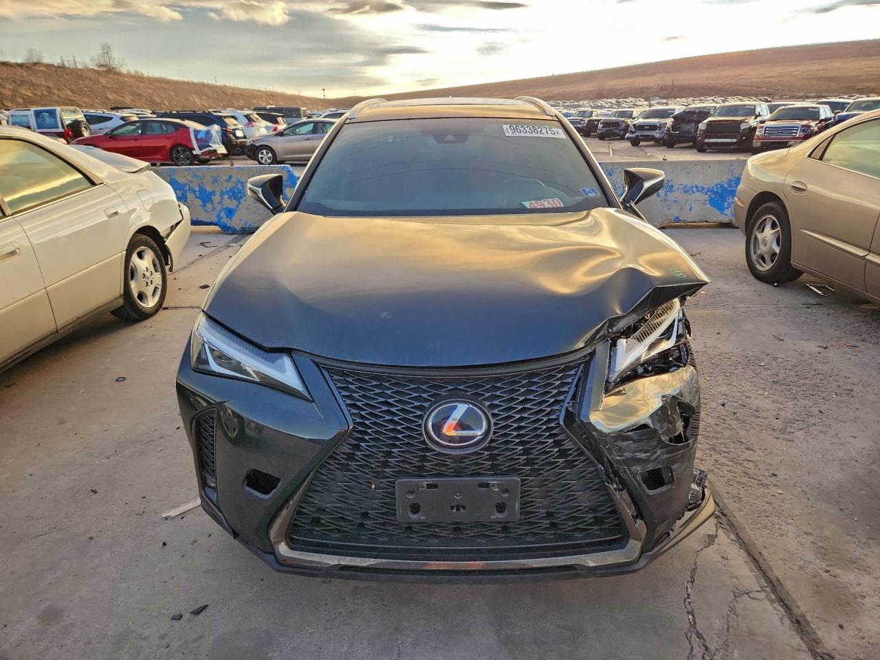 2019 LEXUS UX 250H photo 9