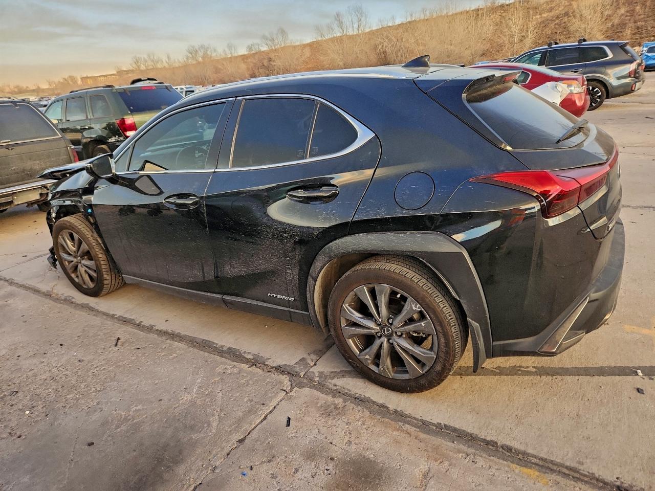 2019 LEXUS UX 250H photo 3