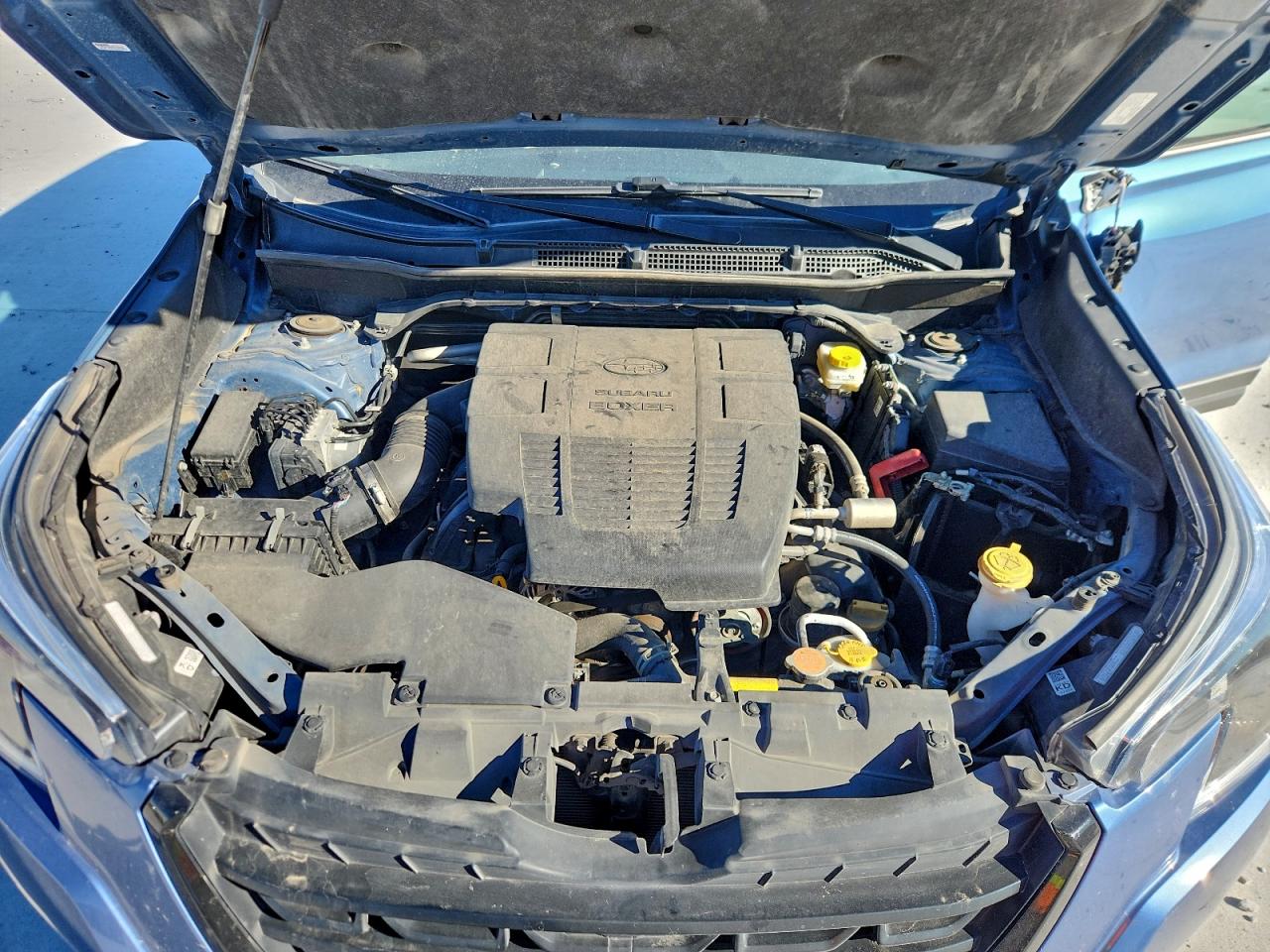 2024 SUBARU FORESTER photo 12
