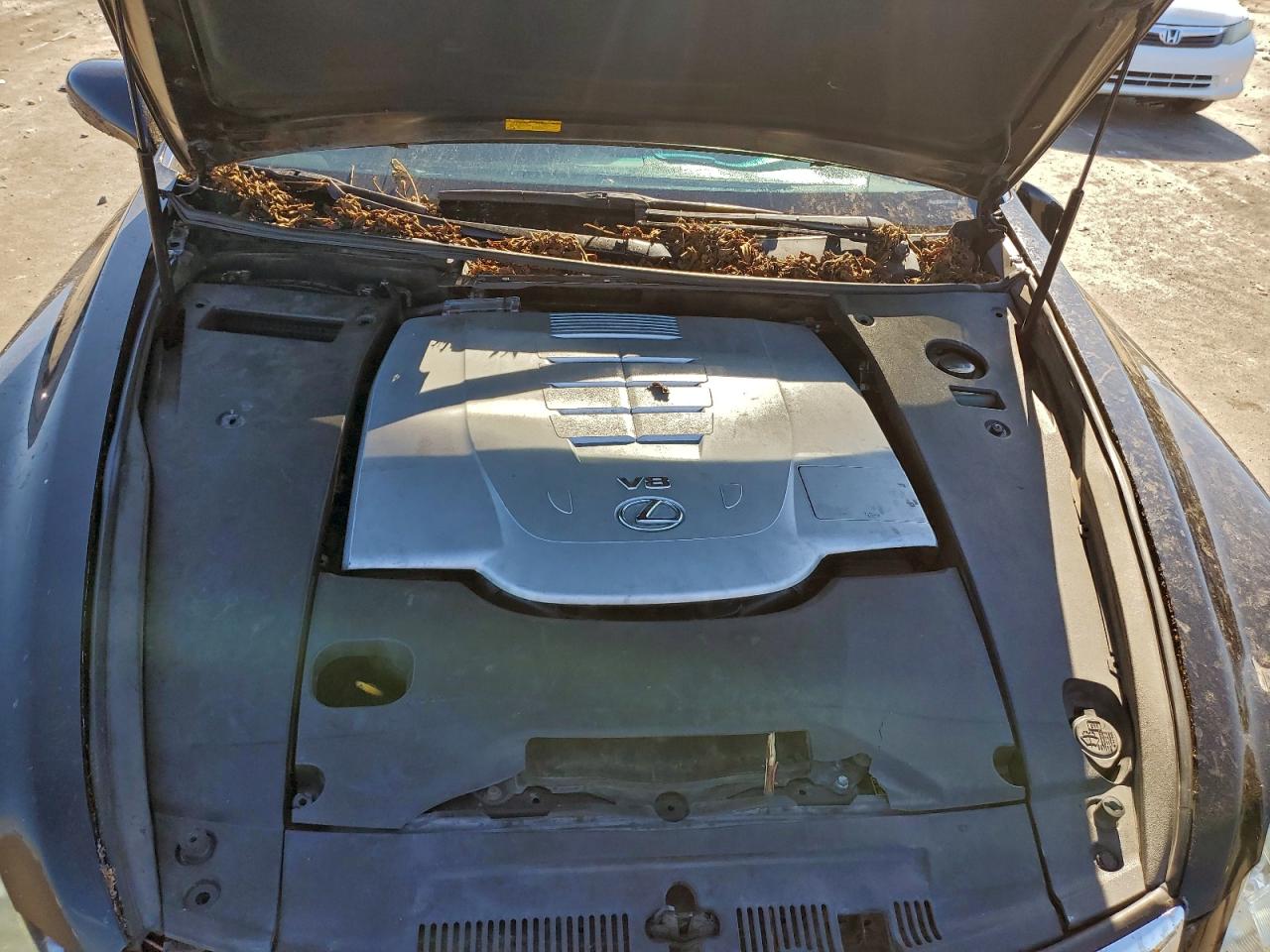 2010 LEXUS LS 460 photo 31
