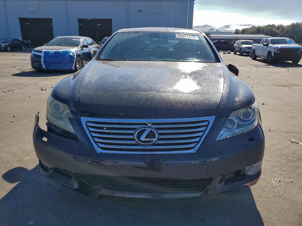 2010 LEXUS LS 460 photo 13