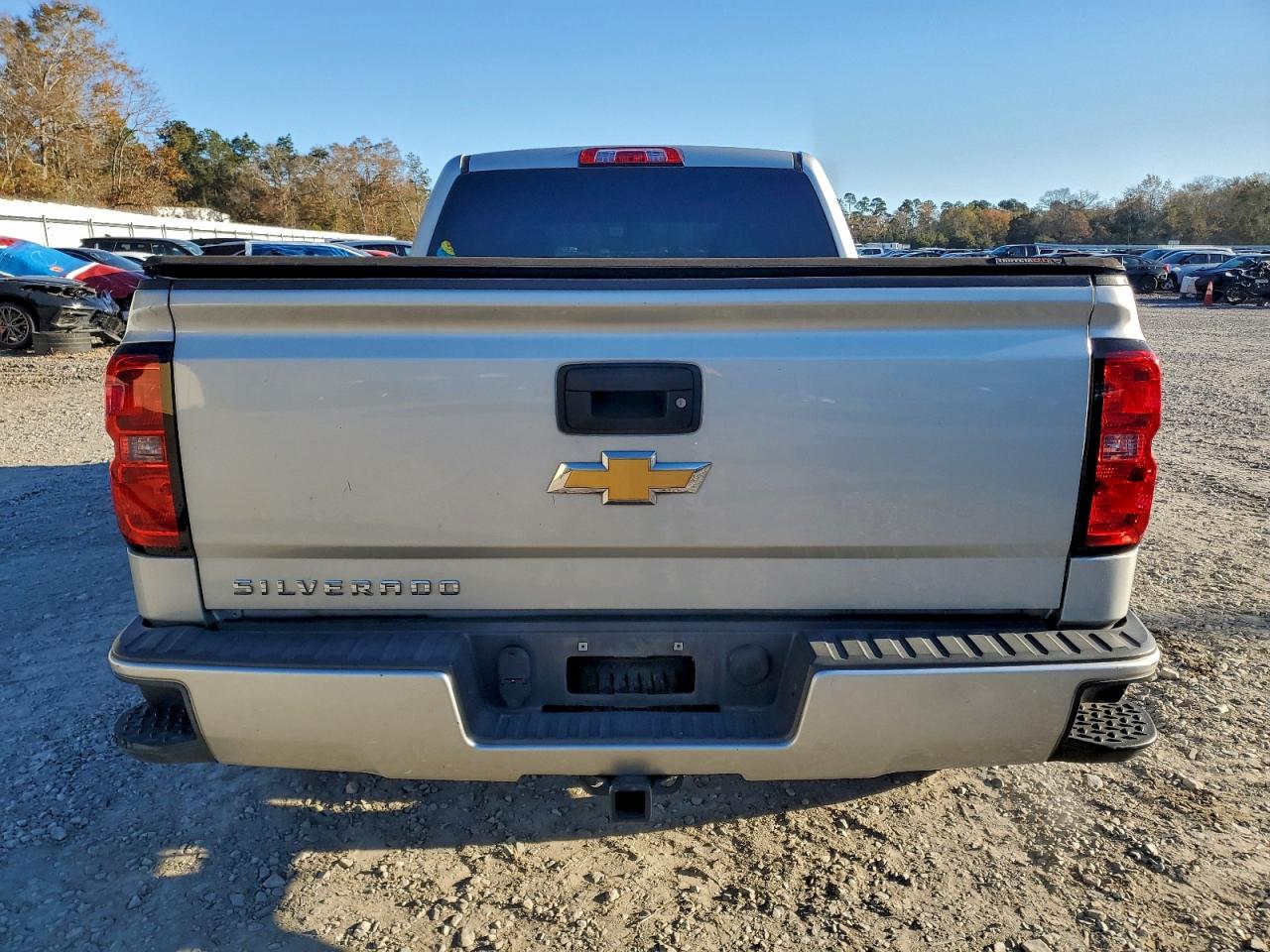 2017 CHEVROLET SILVERADO C1500 CUSTOM photo 11