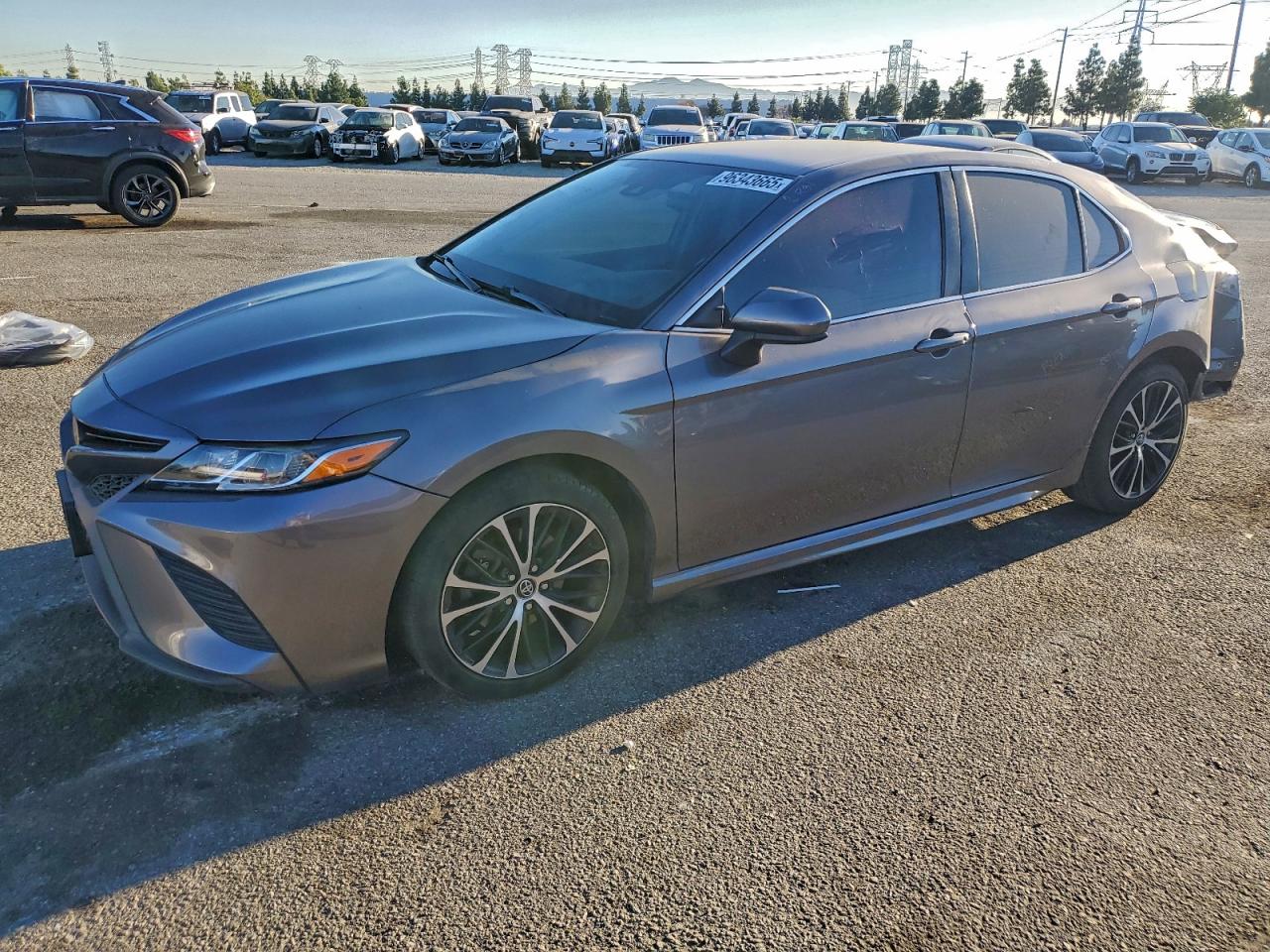2019 TOYOTA CAMRY