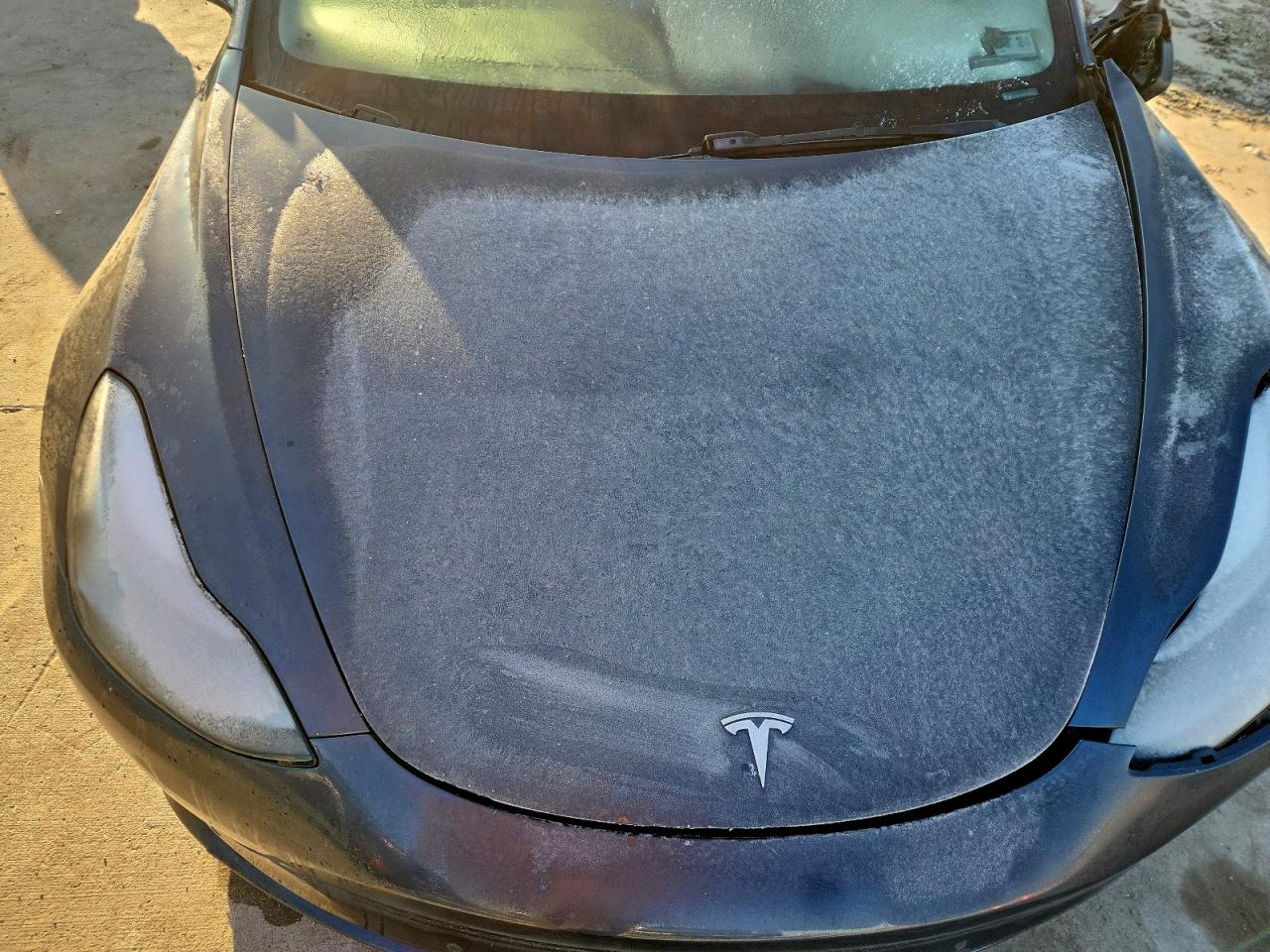 2022 TESLA MODEL 3 photo 11