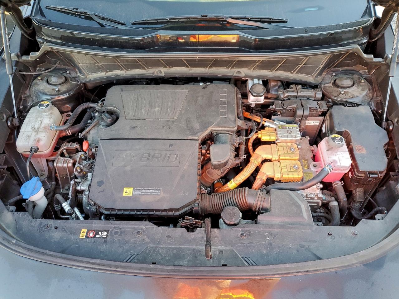 2024 KIA NIRO EX photo 12