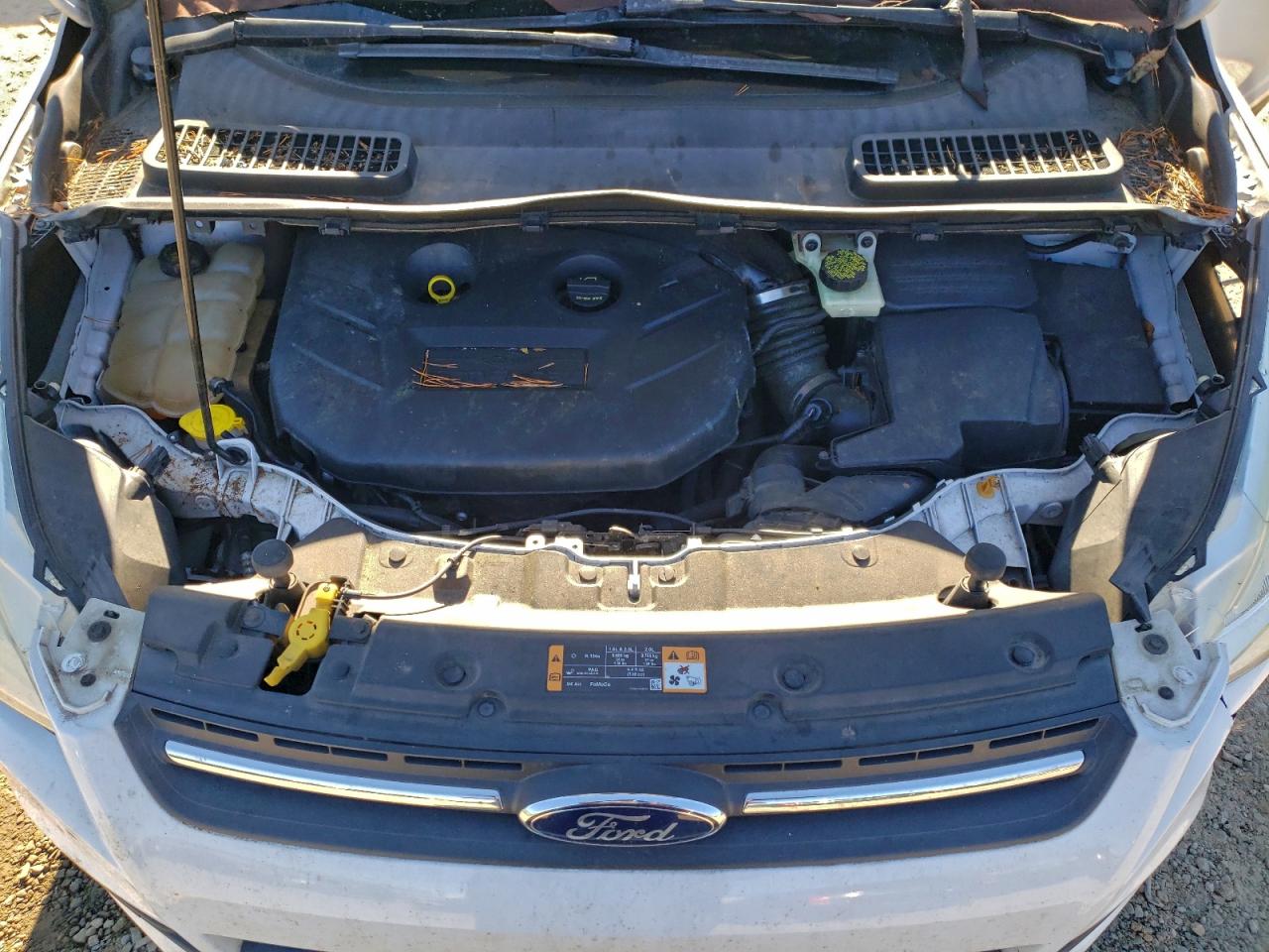 2014 FORD ESCAPE SE photo 12