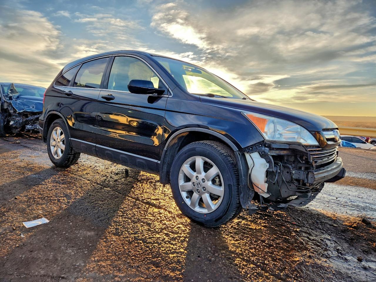 2009 HONDA CR-V EX photo 10