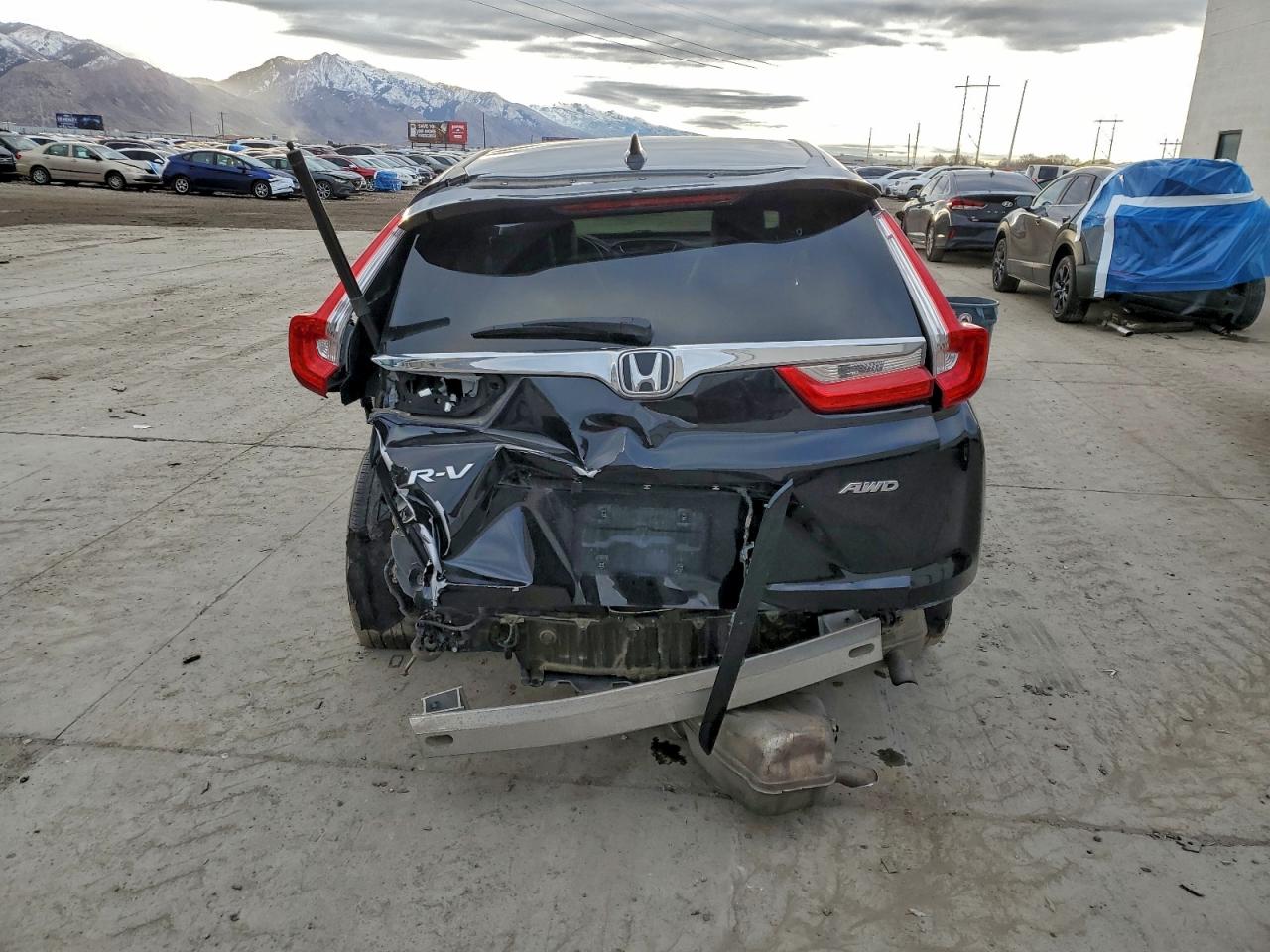 2017 HONDA CR-V EXL photo 6