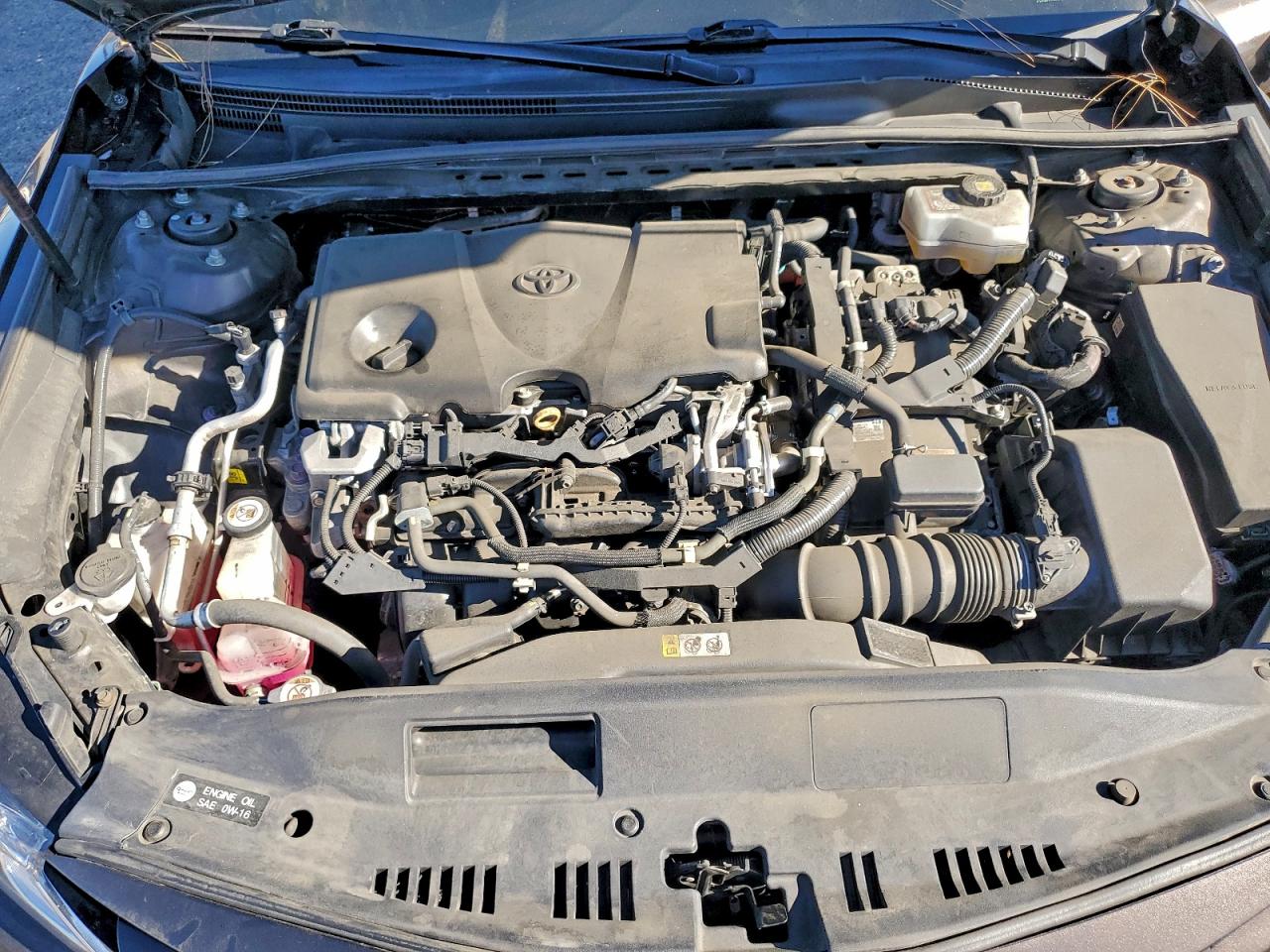 2019 TOYOTA CAMRY LE photo 11