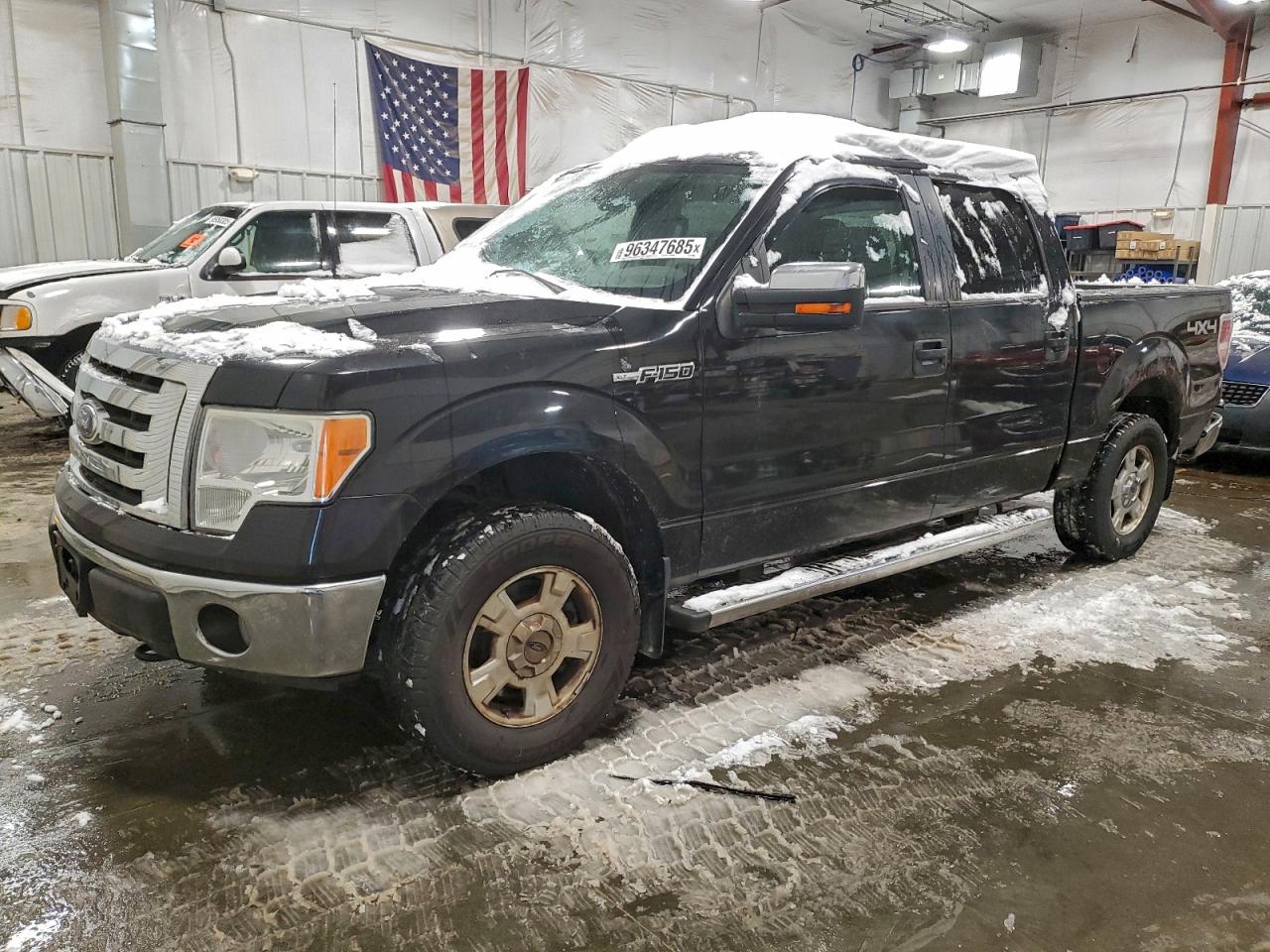2010 FORD F150