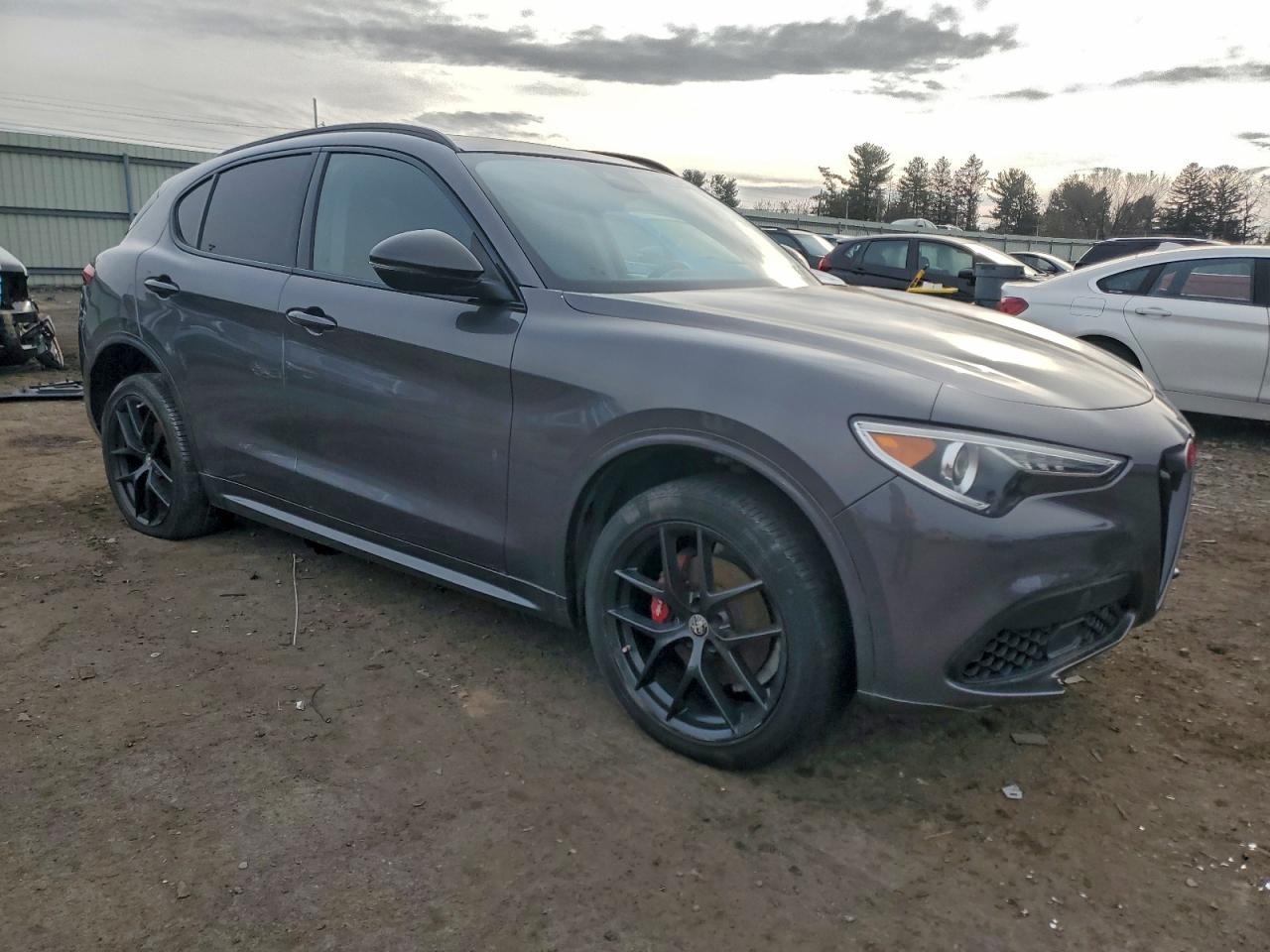 2020 ALFA ROMEO STELVIO TI photo 4