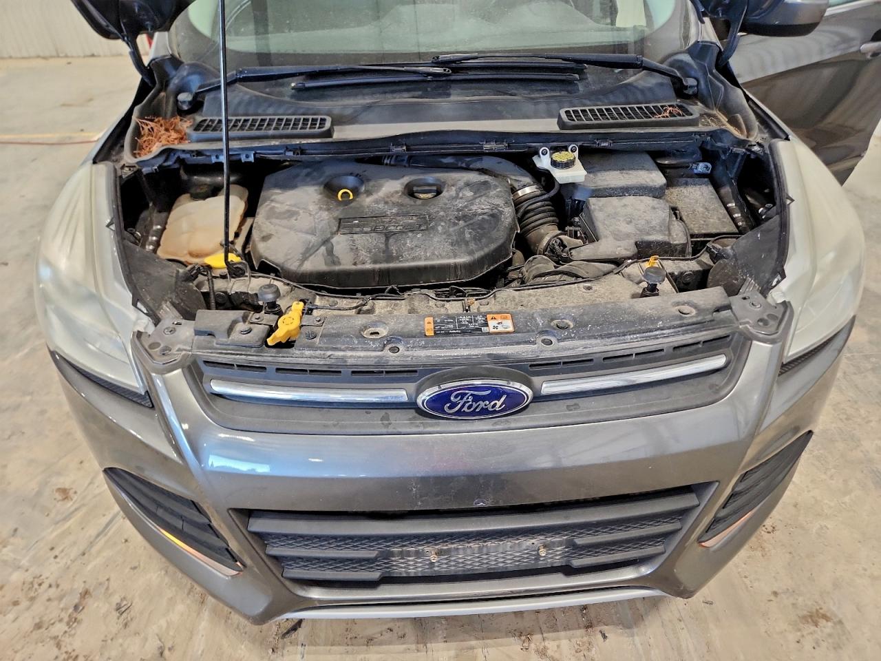 2014 FORD ESCAPE SE photo 12
