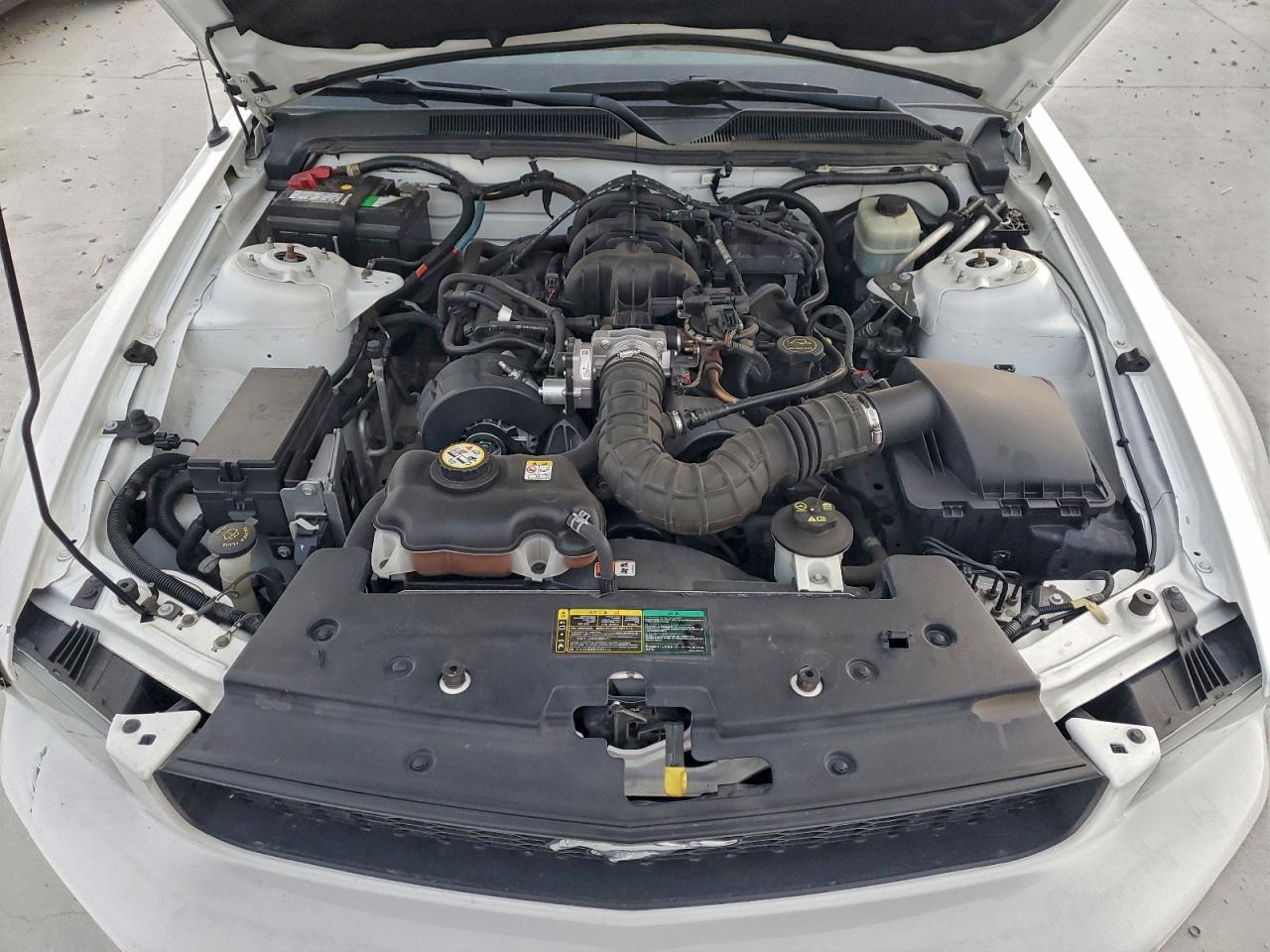 2005 FORD MUSTANG photo 11