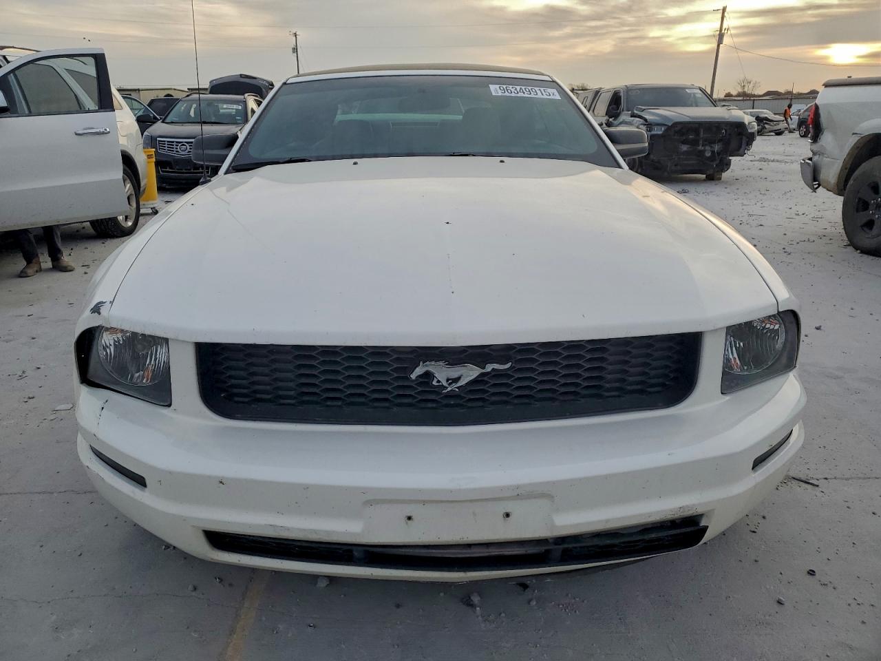 2005 FORD MUSTANG photo 5