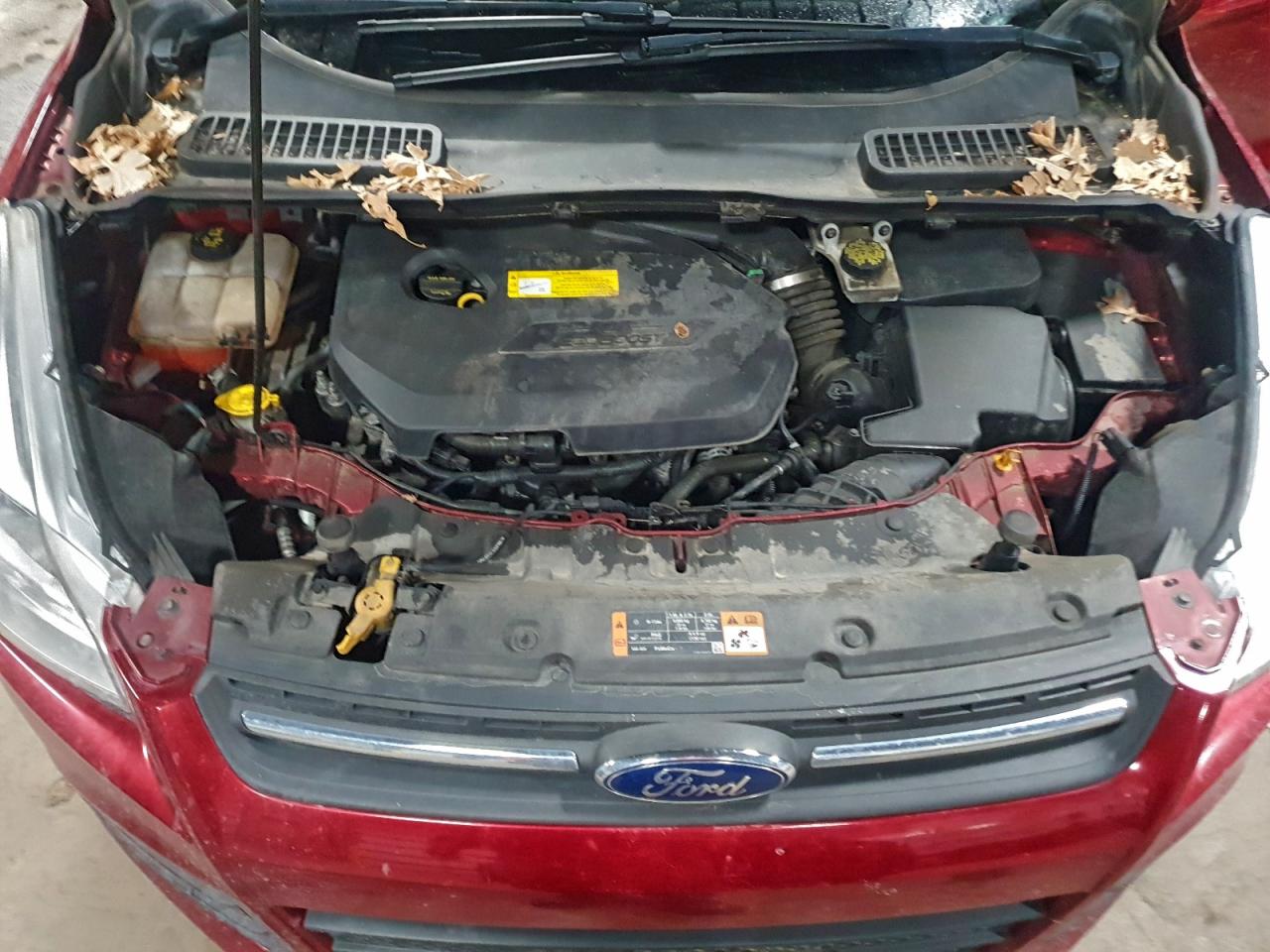 2016 FORD ESCAPE SE photo 11