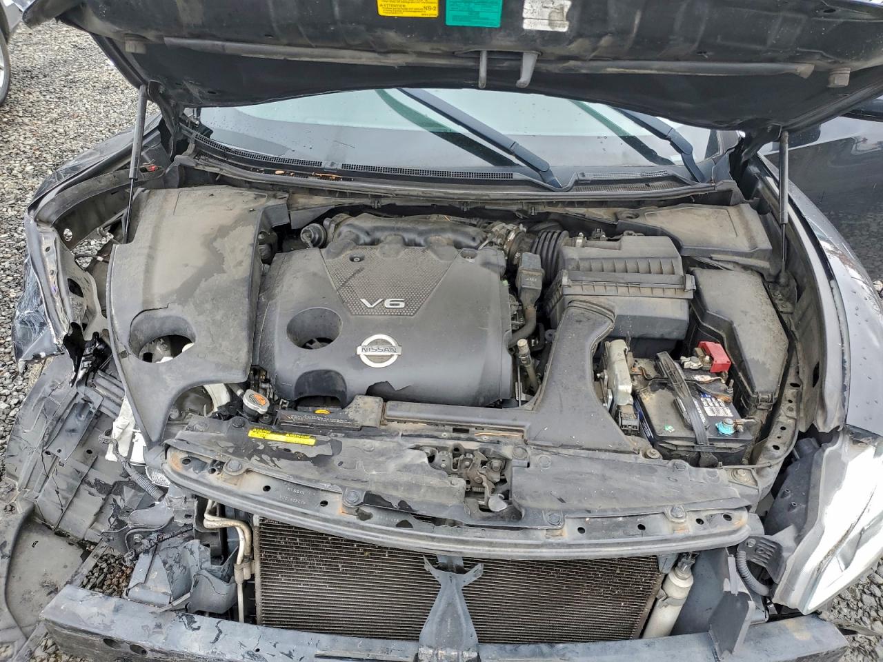 2013 NISSAN MAXIMA S photo 11