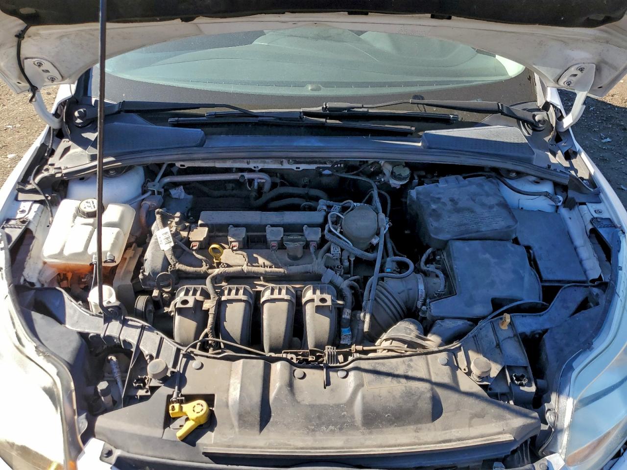 2014 FORD FOCUS SE photo 11