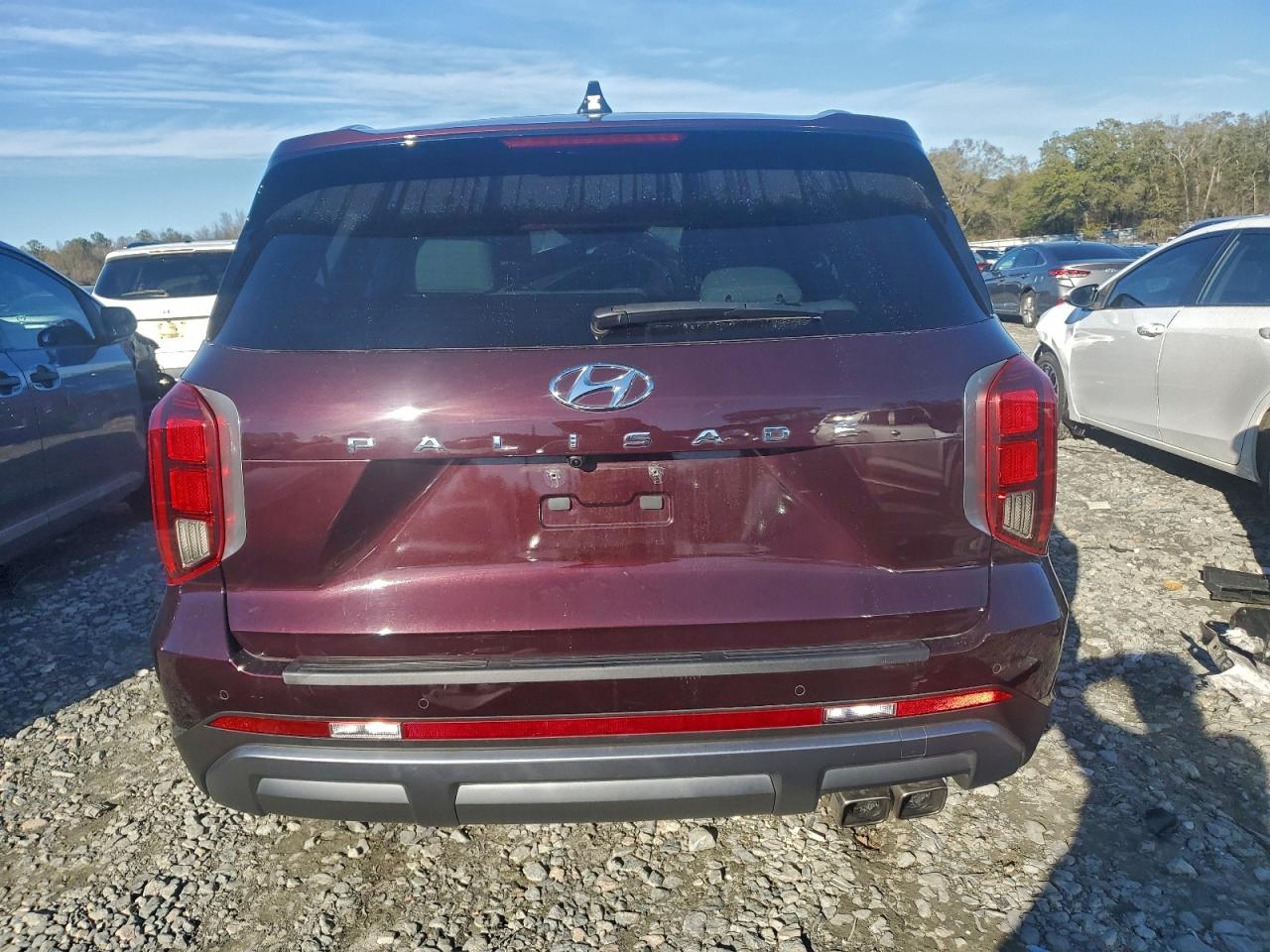2024 HYUNDAI PALISADE SEL photo 6