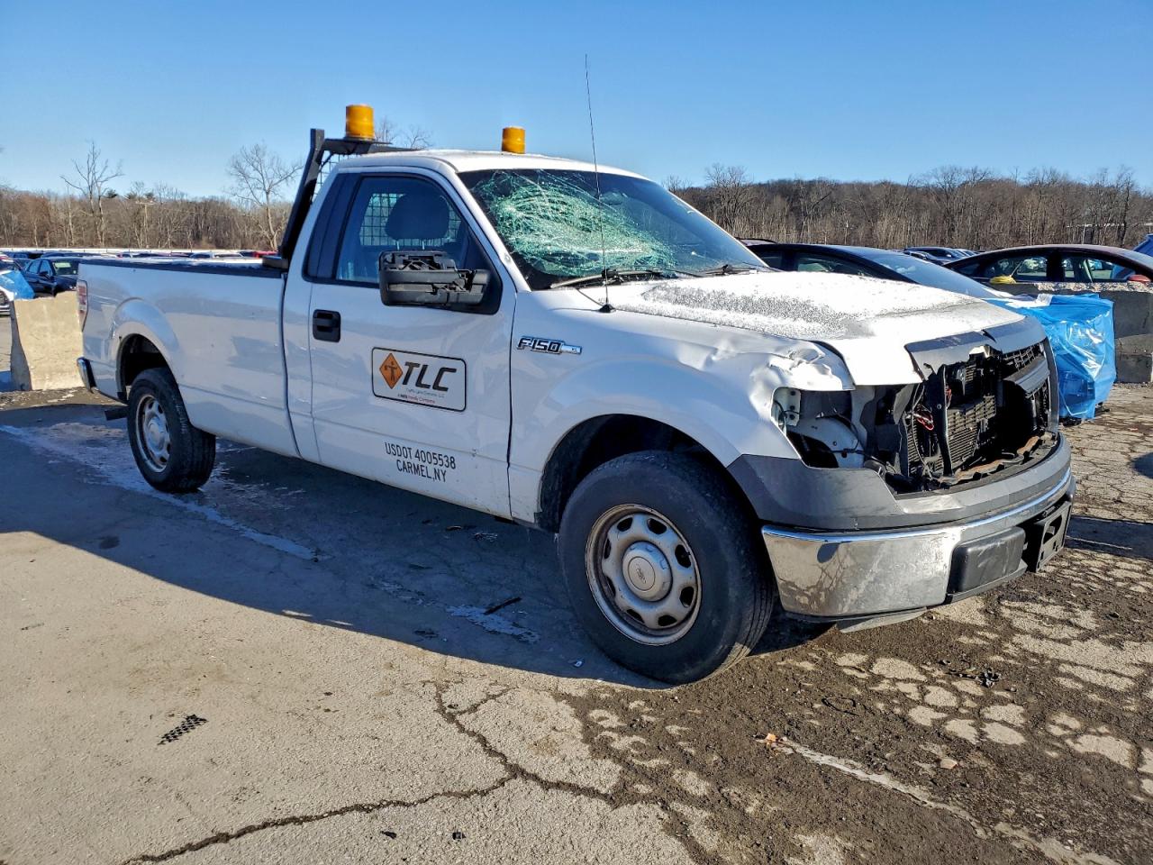 2014 FORD F150 photo 4