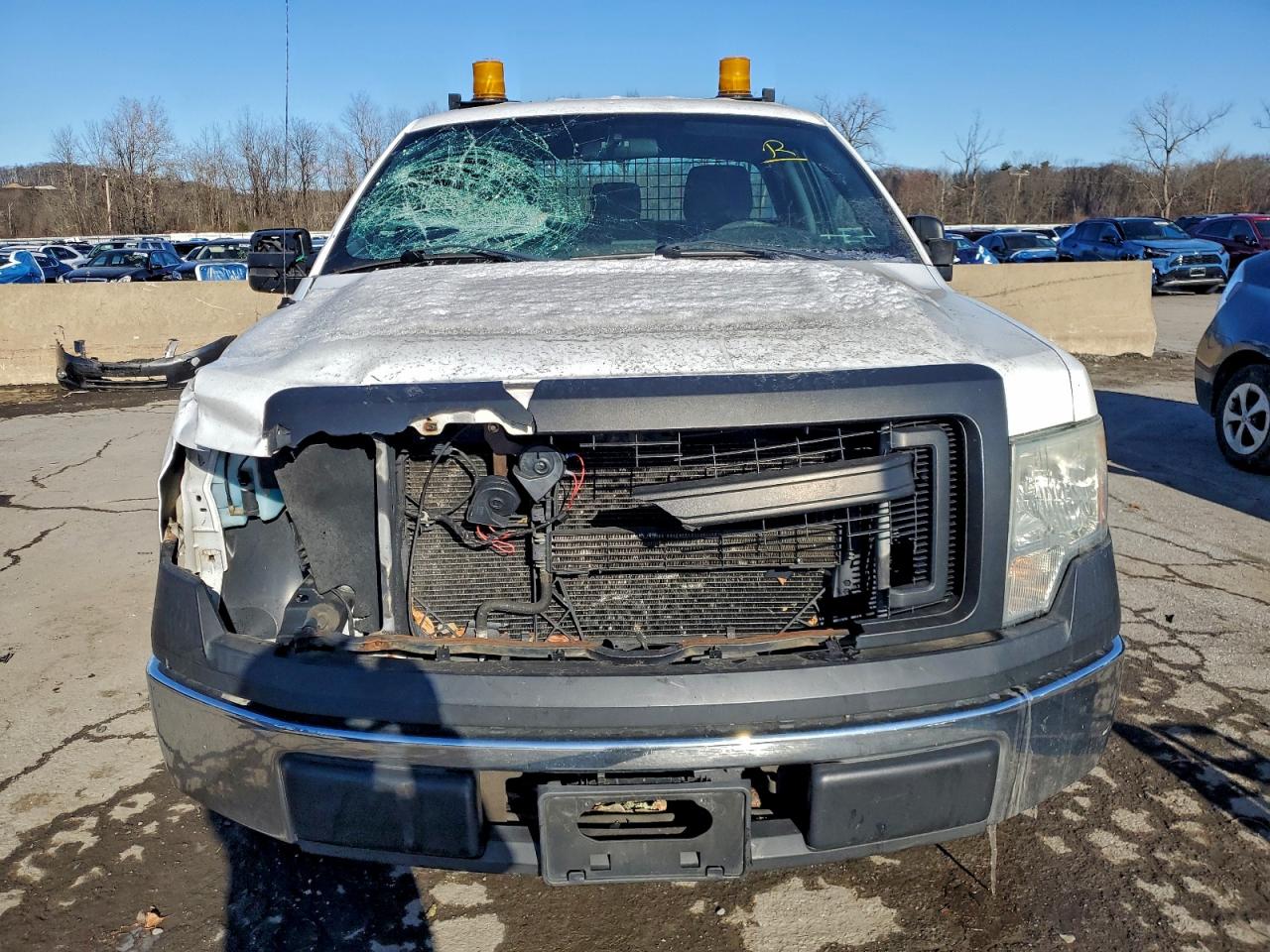 2014 FORD F150 photo 5