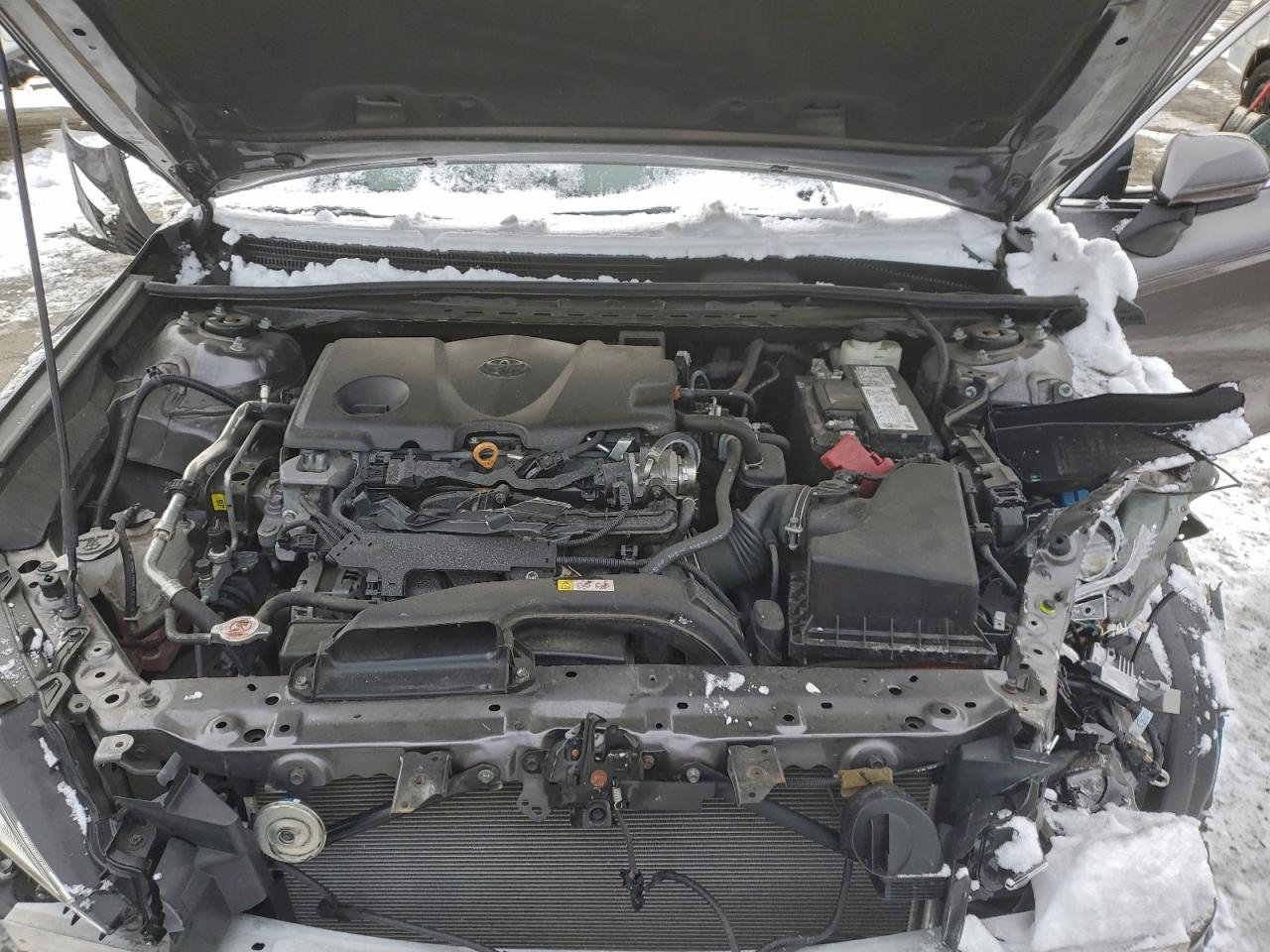 2023 TOYOTA CAMRY LE photo 11