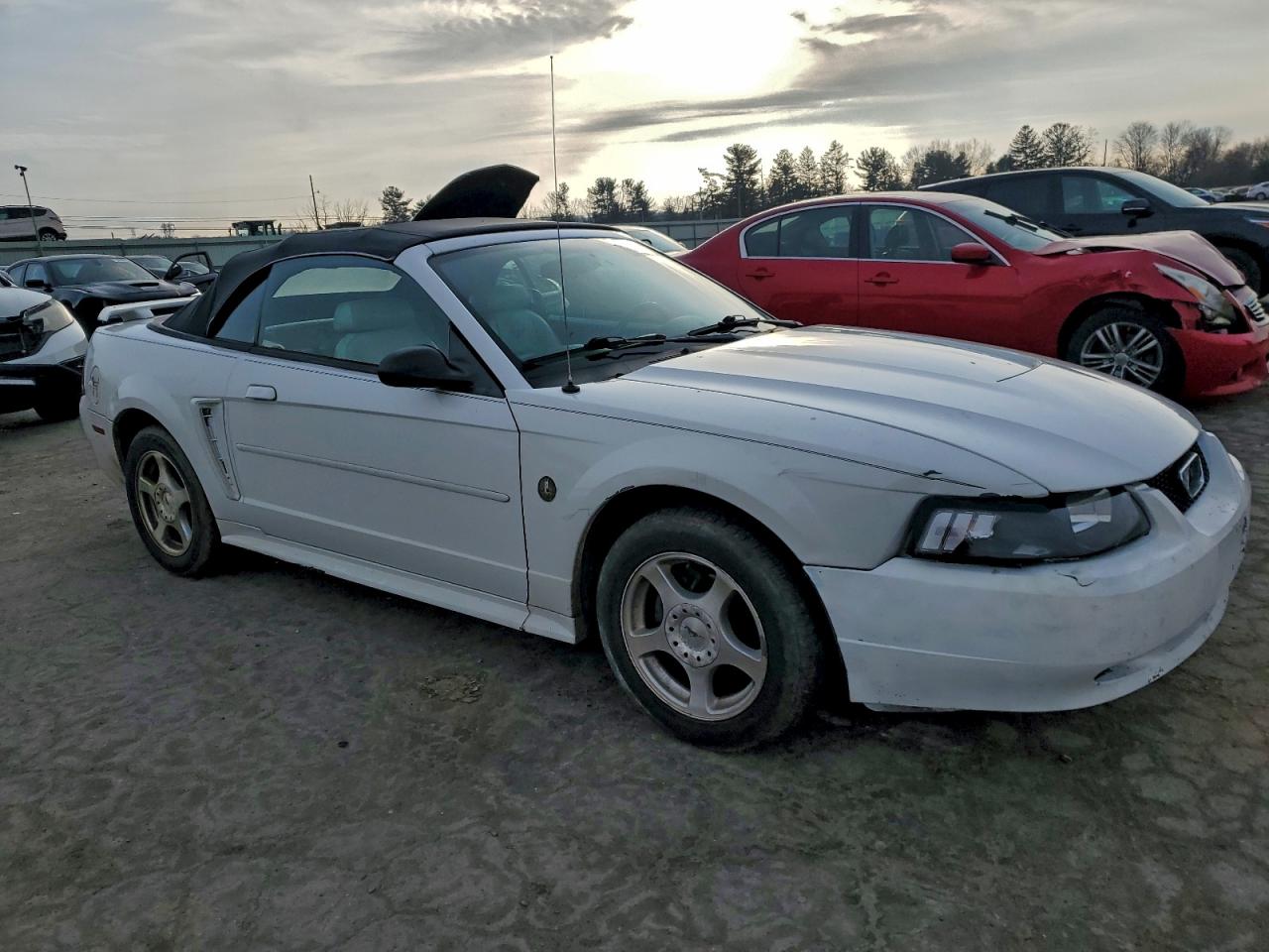 2004 FORD MUSTANG photo 7