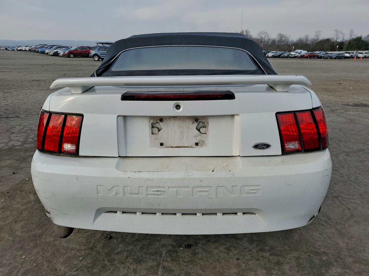 2004 FORD MUSTANG photo 11