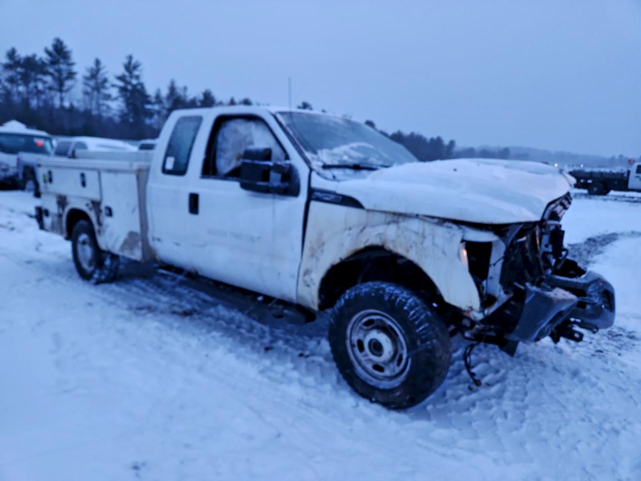 2016 FORD F250 SUPER DUTY photo 7