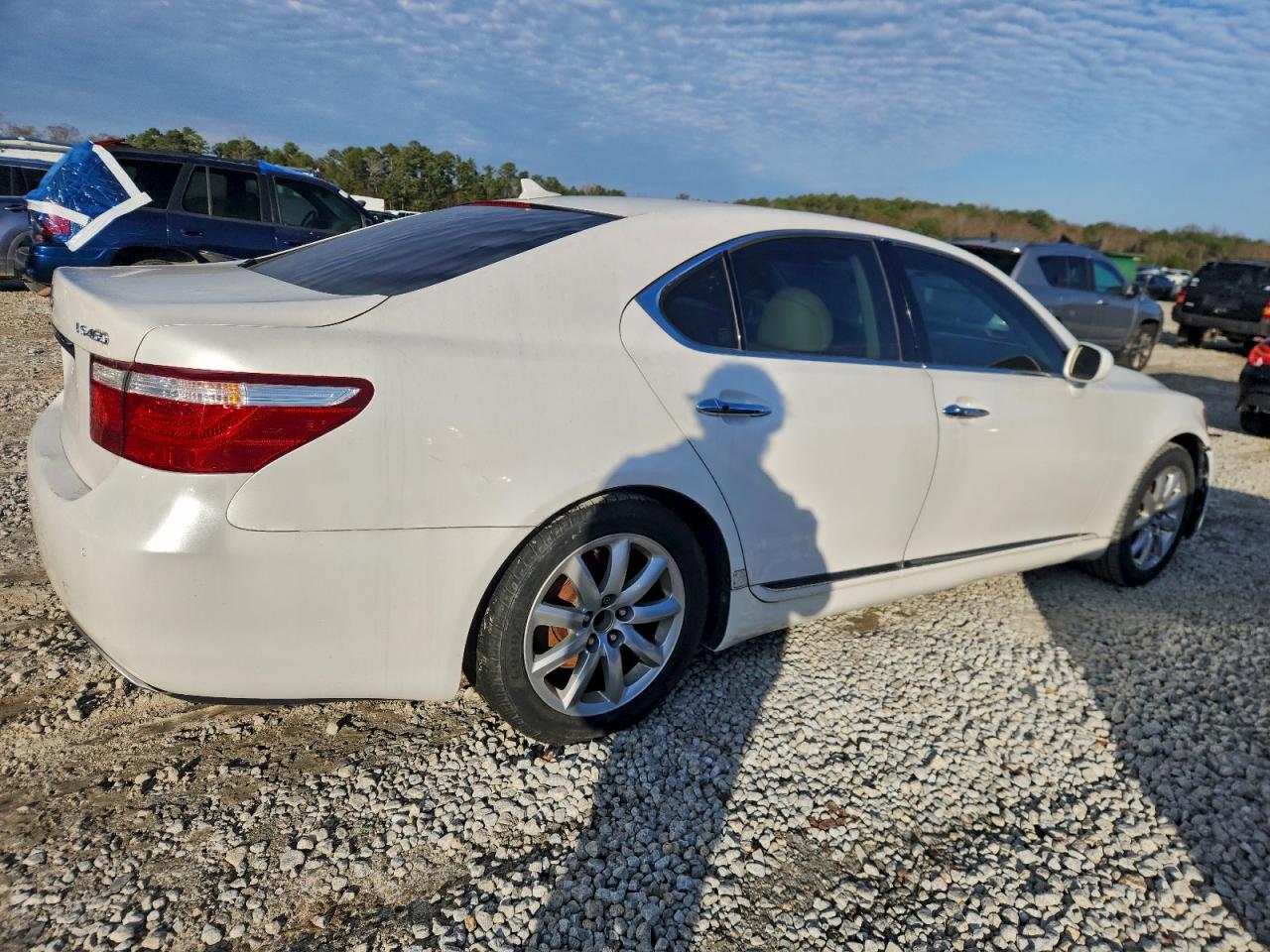 2007 LEXUS LS 460 photo 5