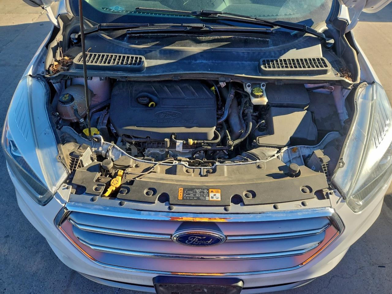 2017 FORD ESCAPE SE photo 11